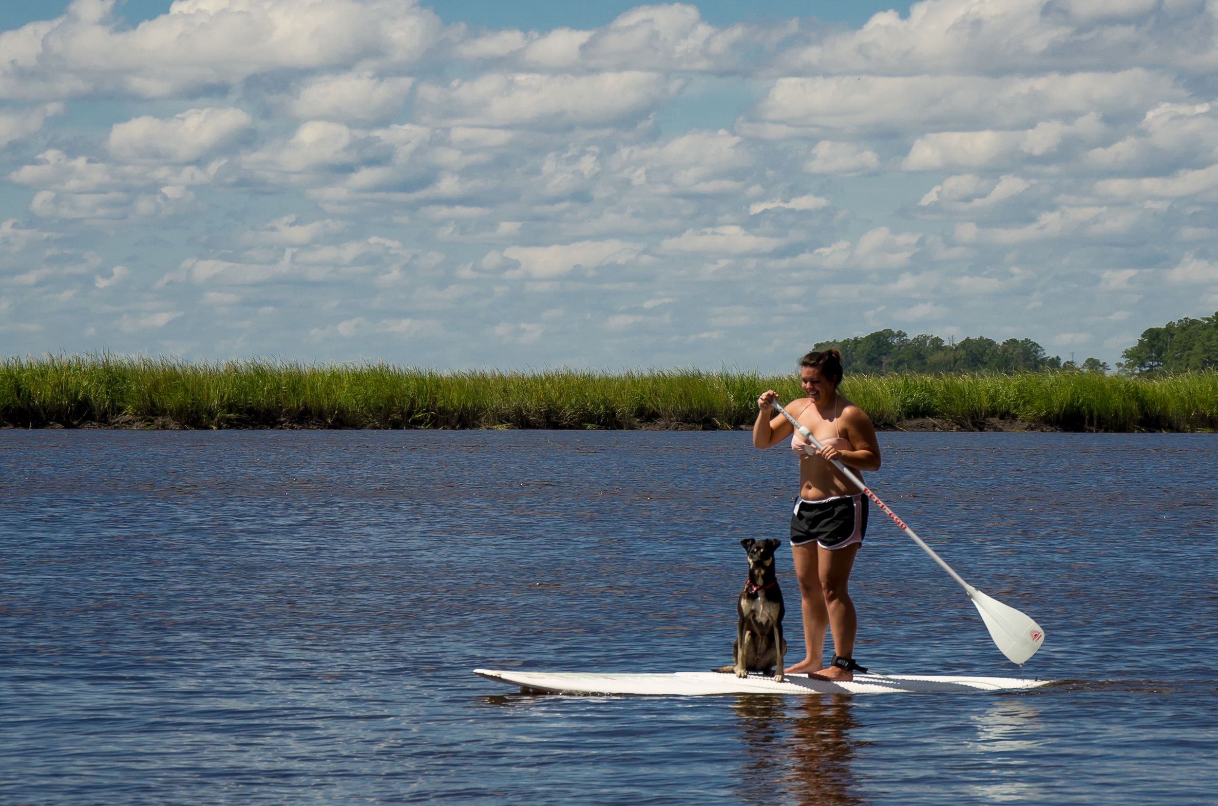 Dilly and Little Foot balance cleverly on a paddle board.