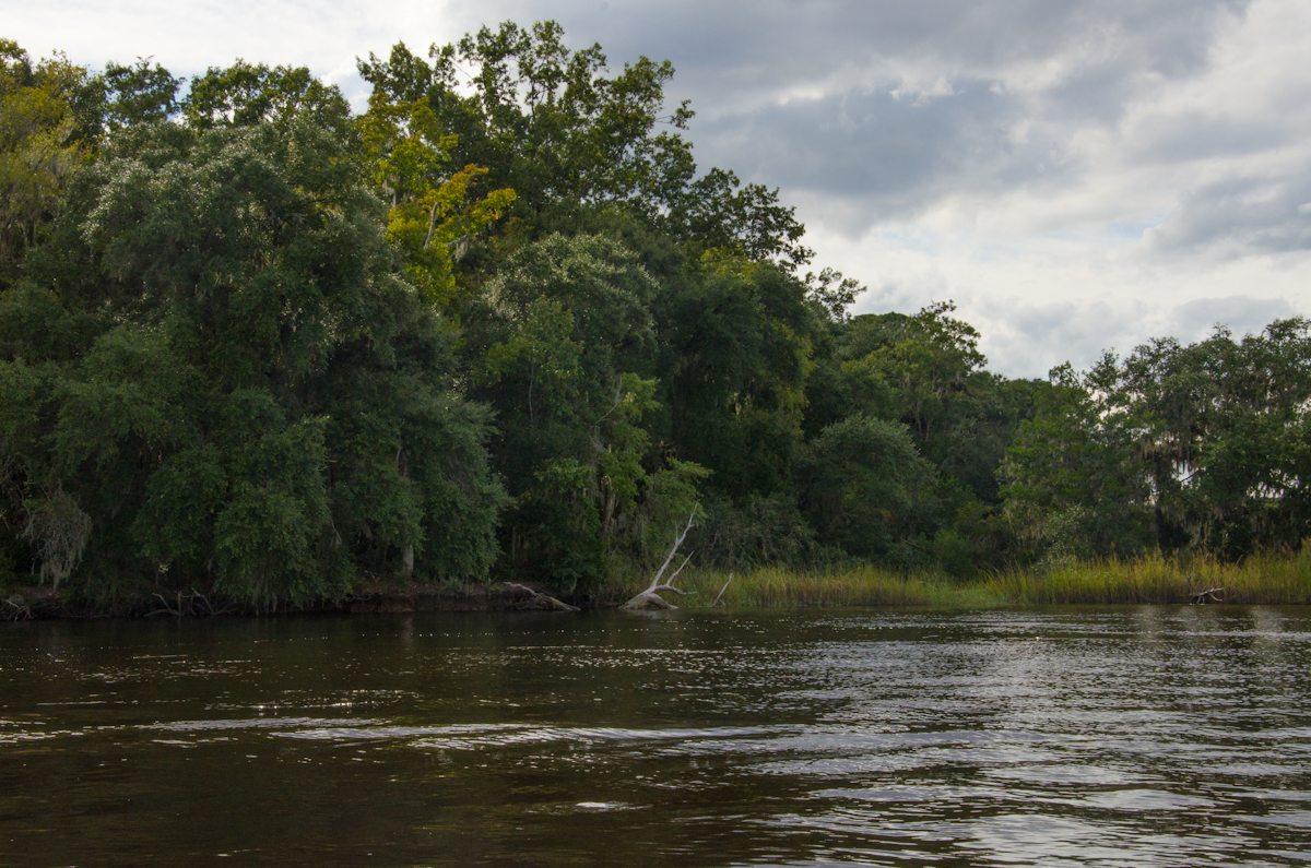 A scene from the Combahee River.