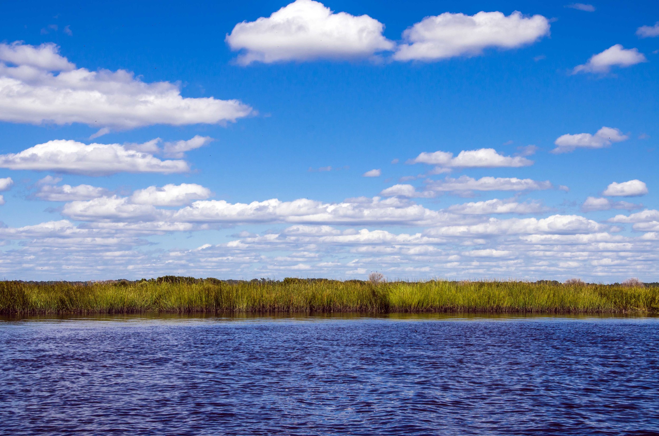 Long scattered clouds above the marsh line.