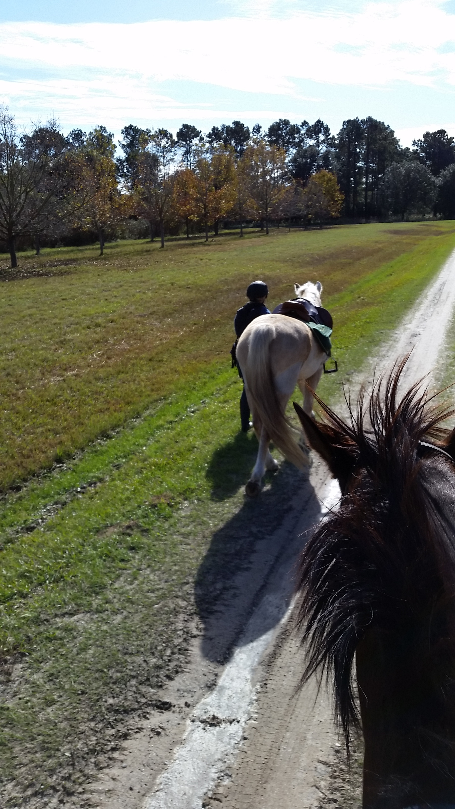 Leaving Cassina Point for day 2 of our traveling by horse adventure.