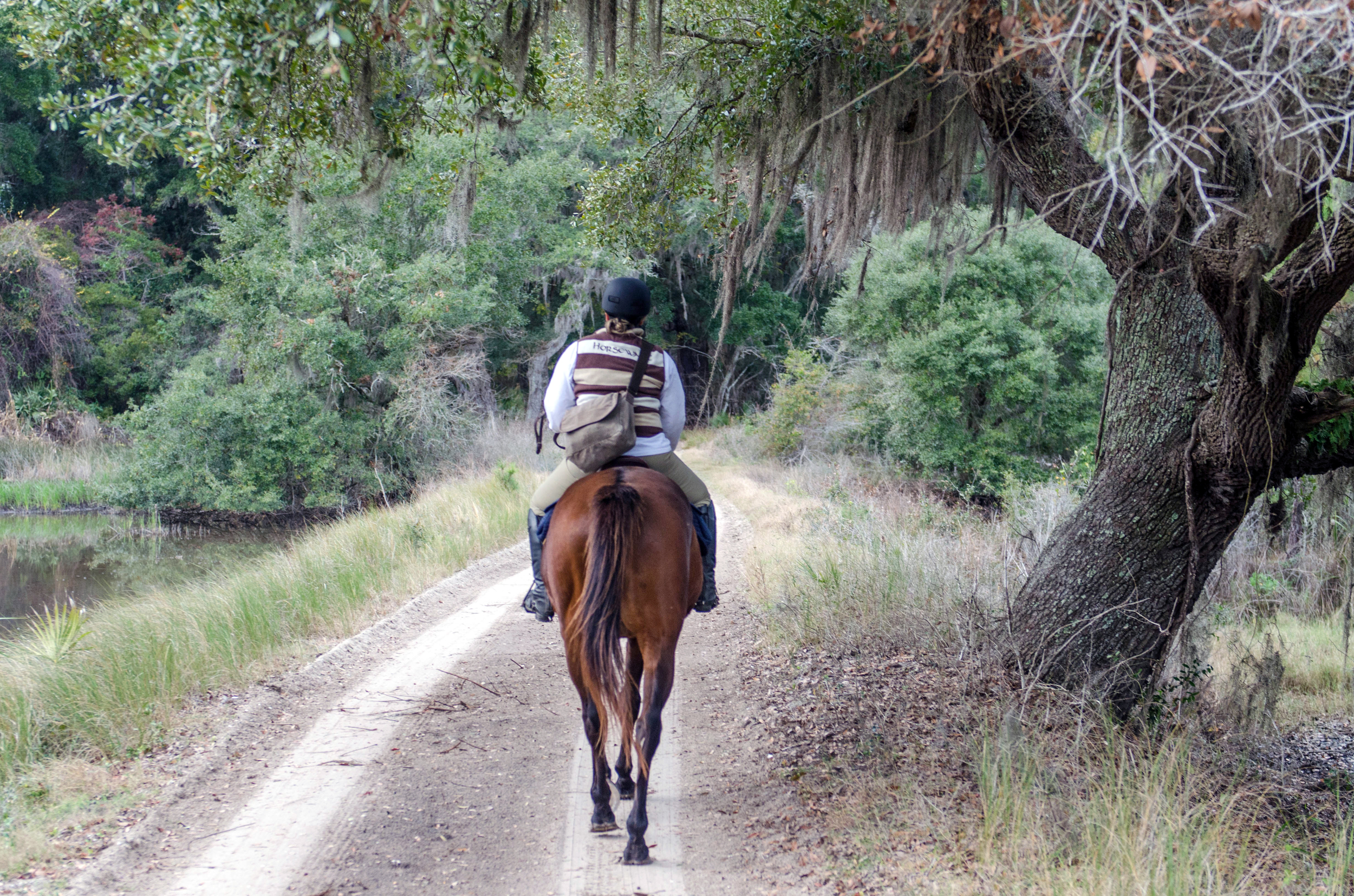 Julie and Chance following a trail in Botany Bay.