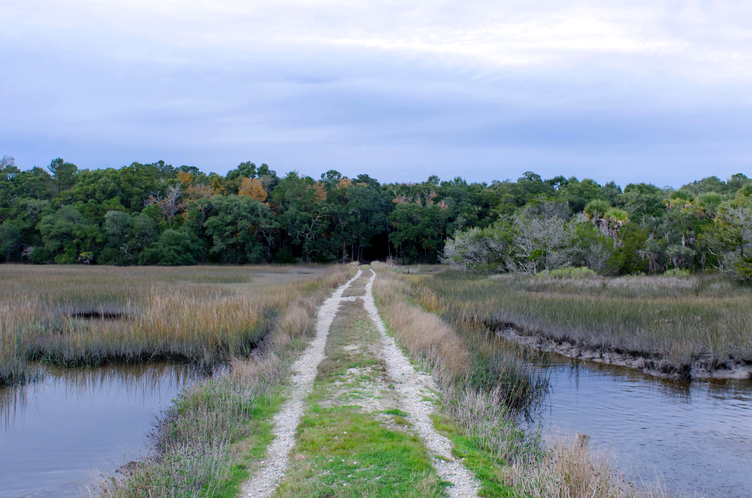 Rough road through Botany Bay Plantation.