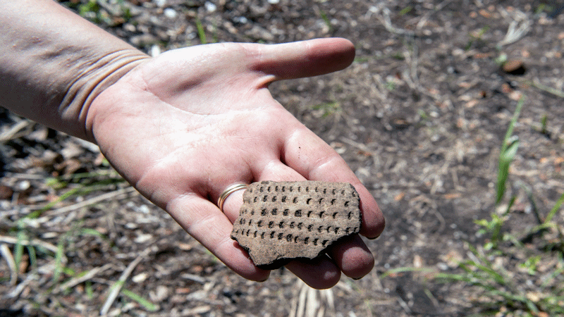 A piece of pottery found in the shell midden.