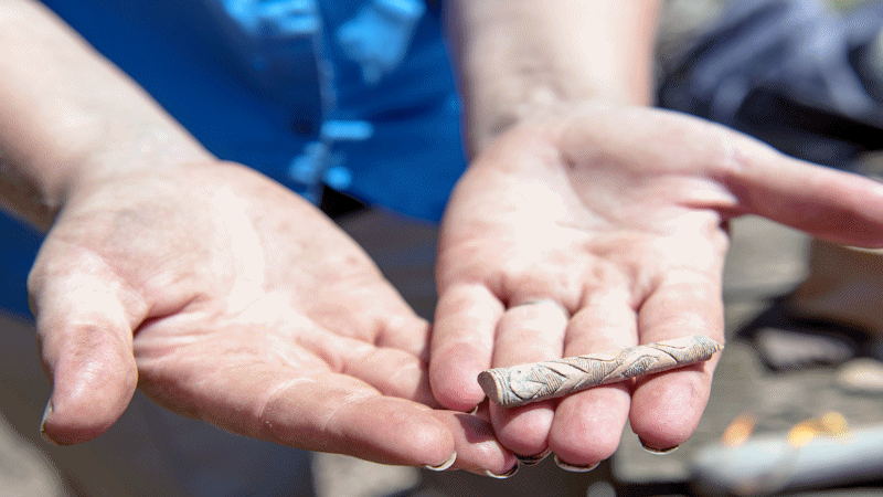 Bone Pins with detailed carving. Their use is unknown.