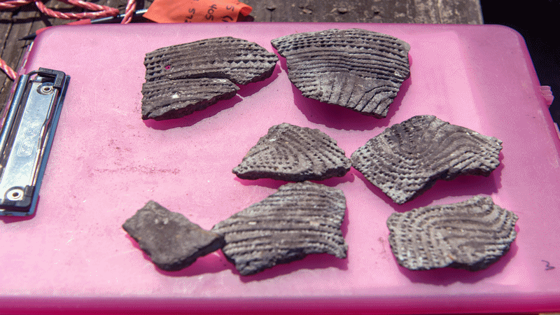 More pieces of pottery found during the excavation.