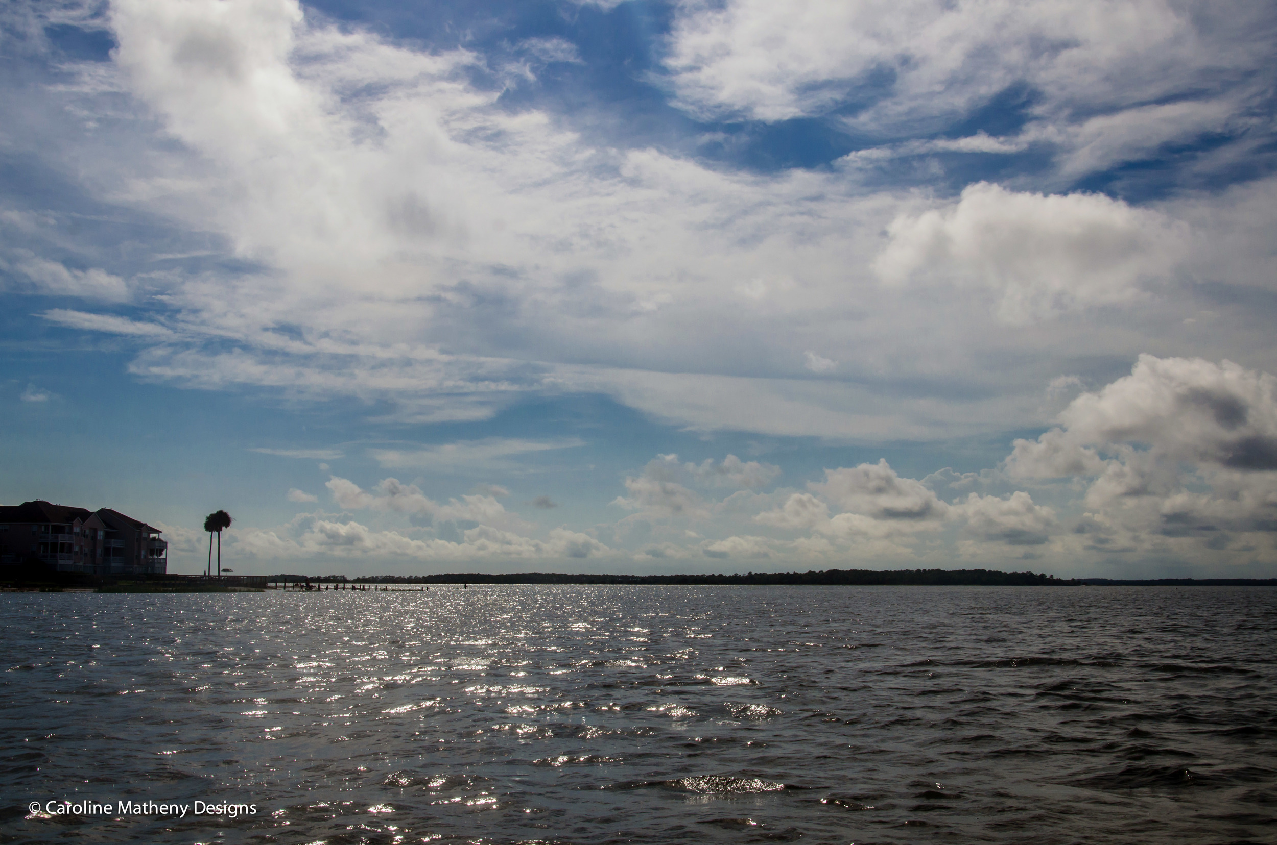 A silhouette of Palmetto trees and an island in the distance.
