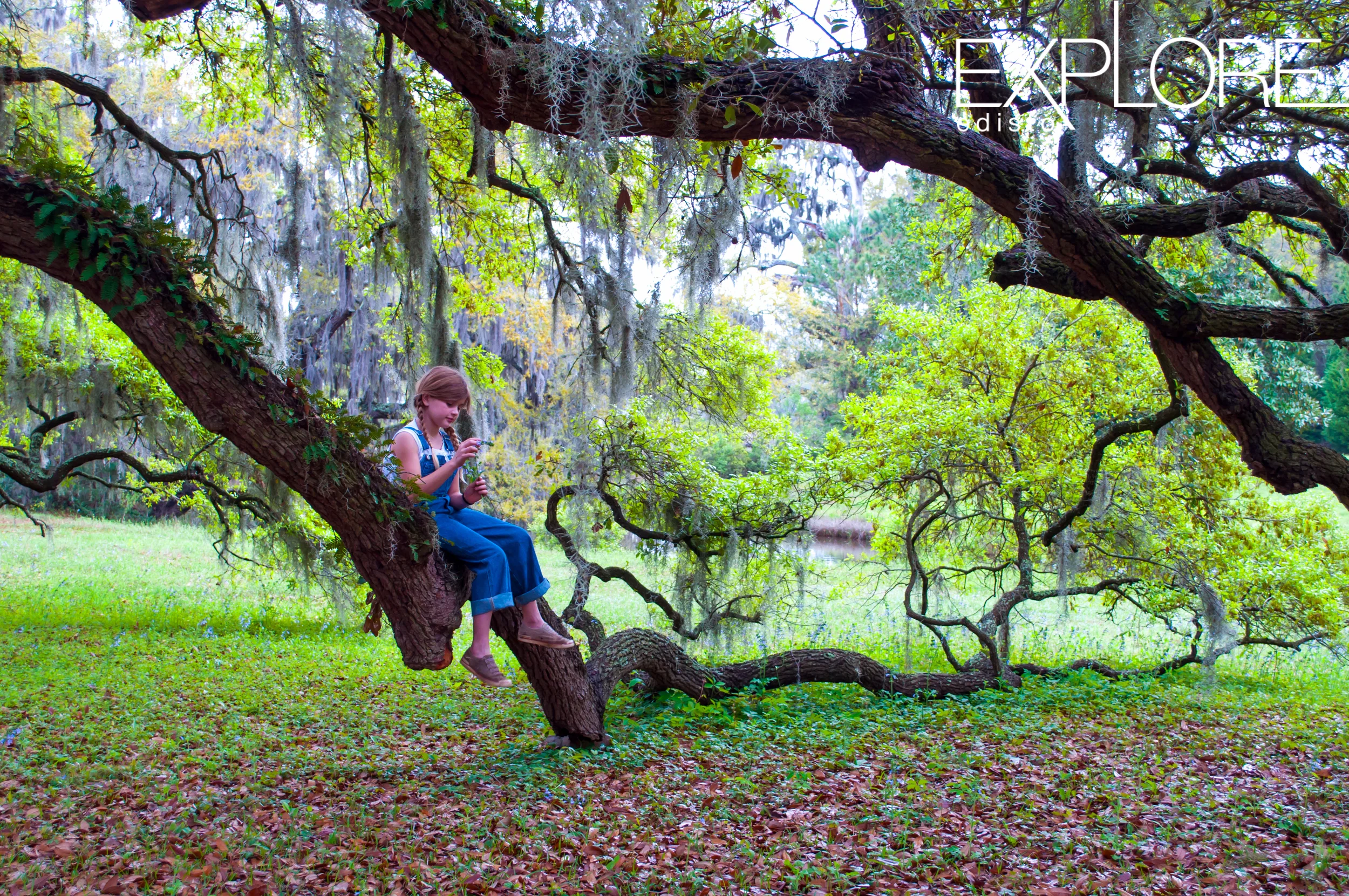 Young person wearing overalls sits on branch of Live Oak tree holding flowers.