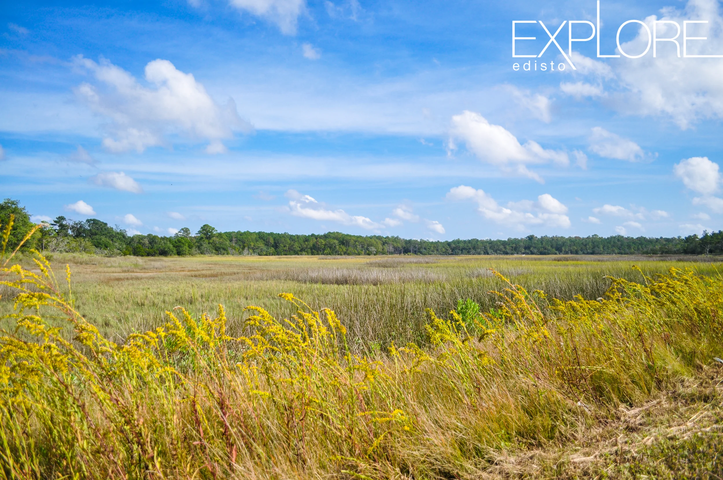 Colorful, yellow, green and blue view of marsh and clouds.