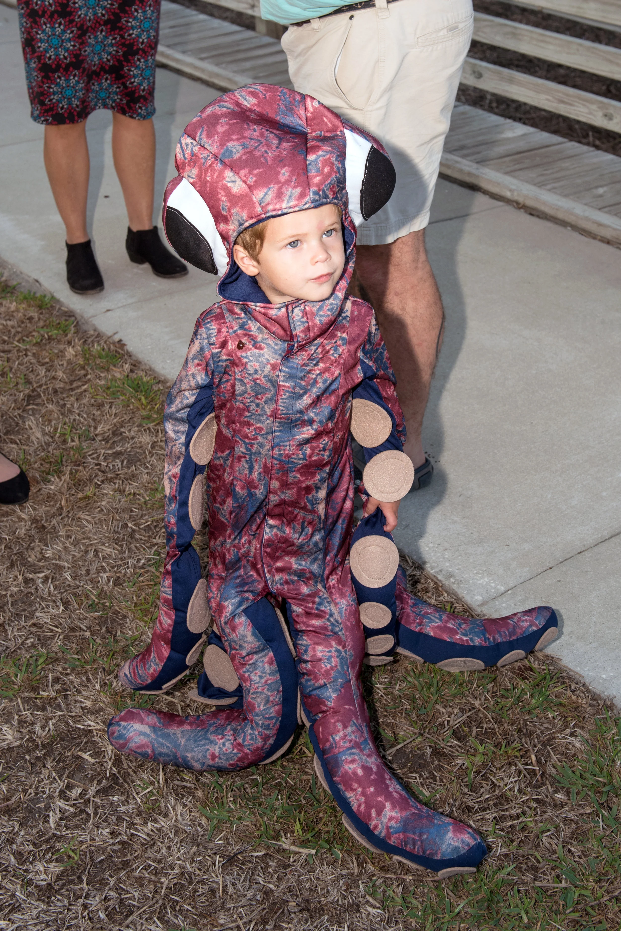 Young person dressed as Octopus.