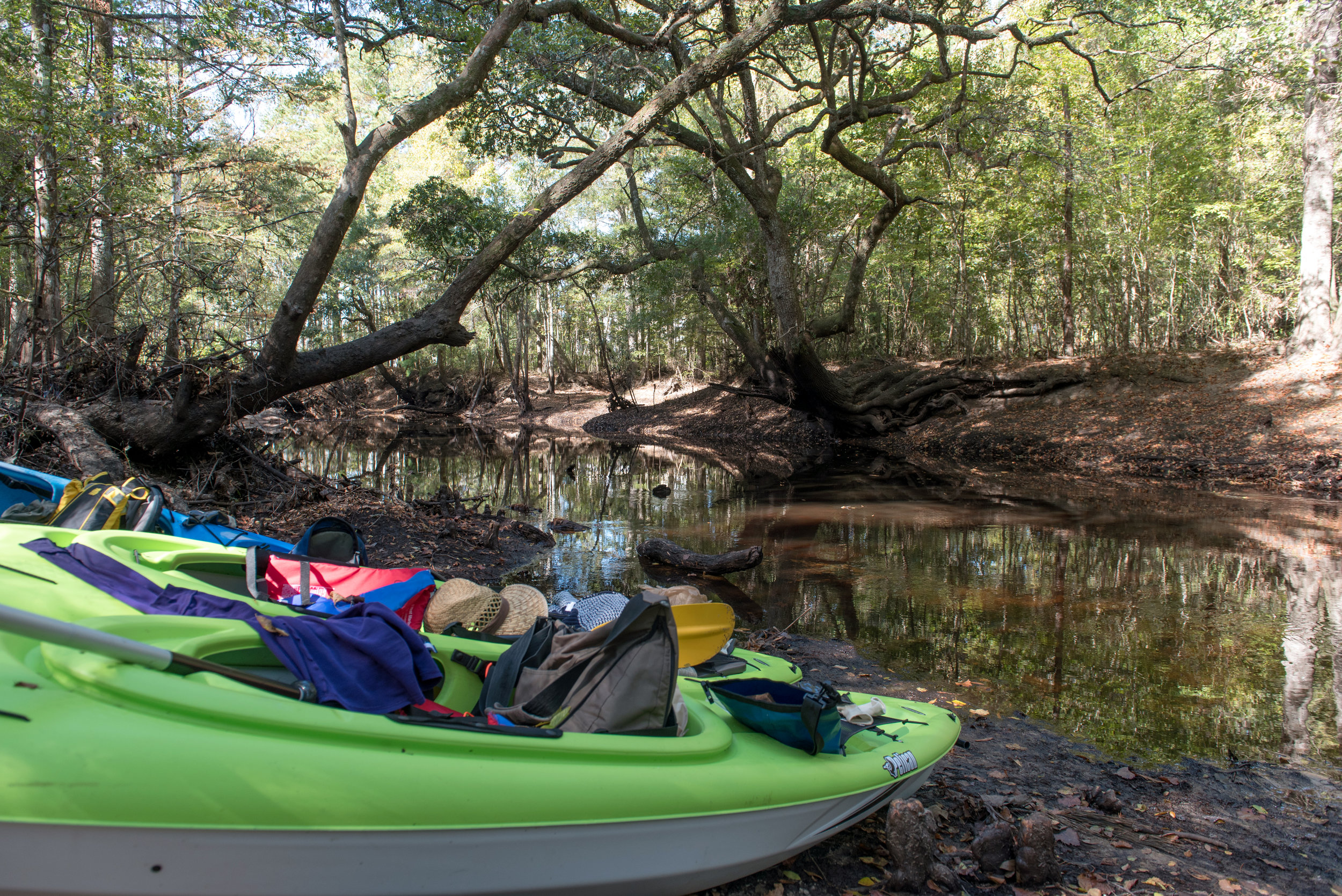 Kayaks ready to launch on the Ashley River.