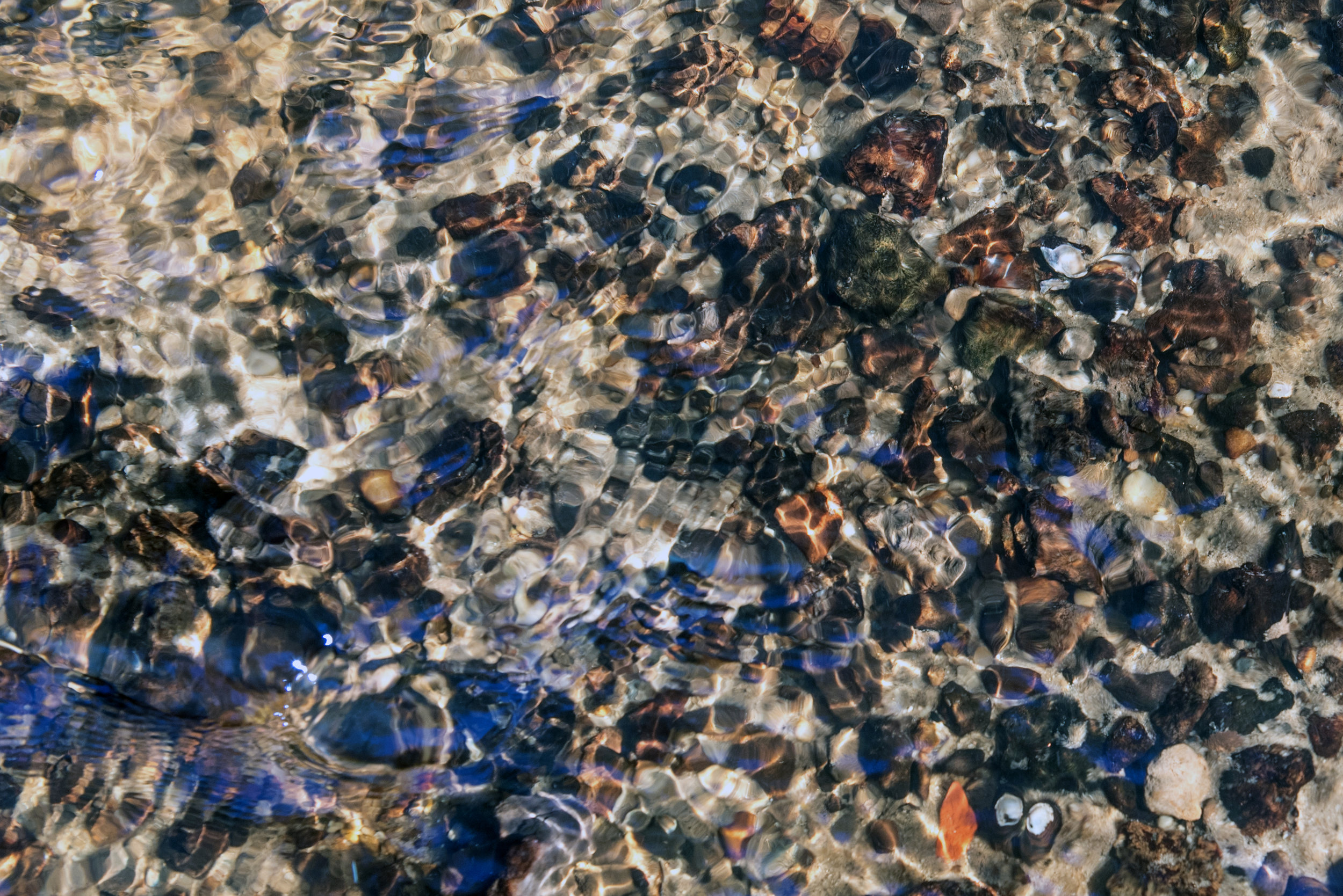 A shot of the riverbed of the Ashley River.