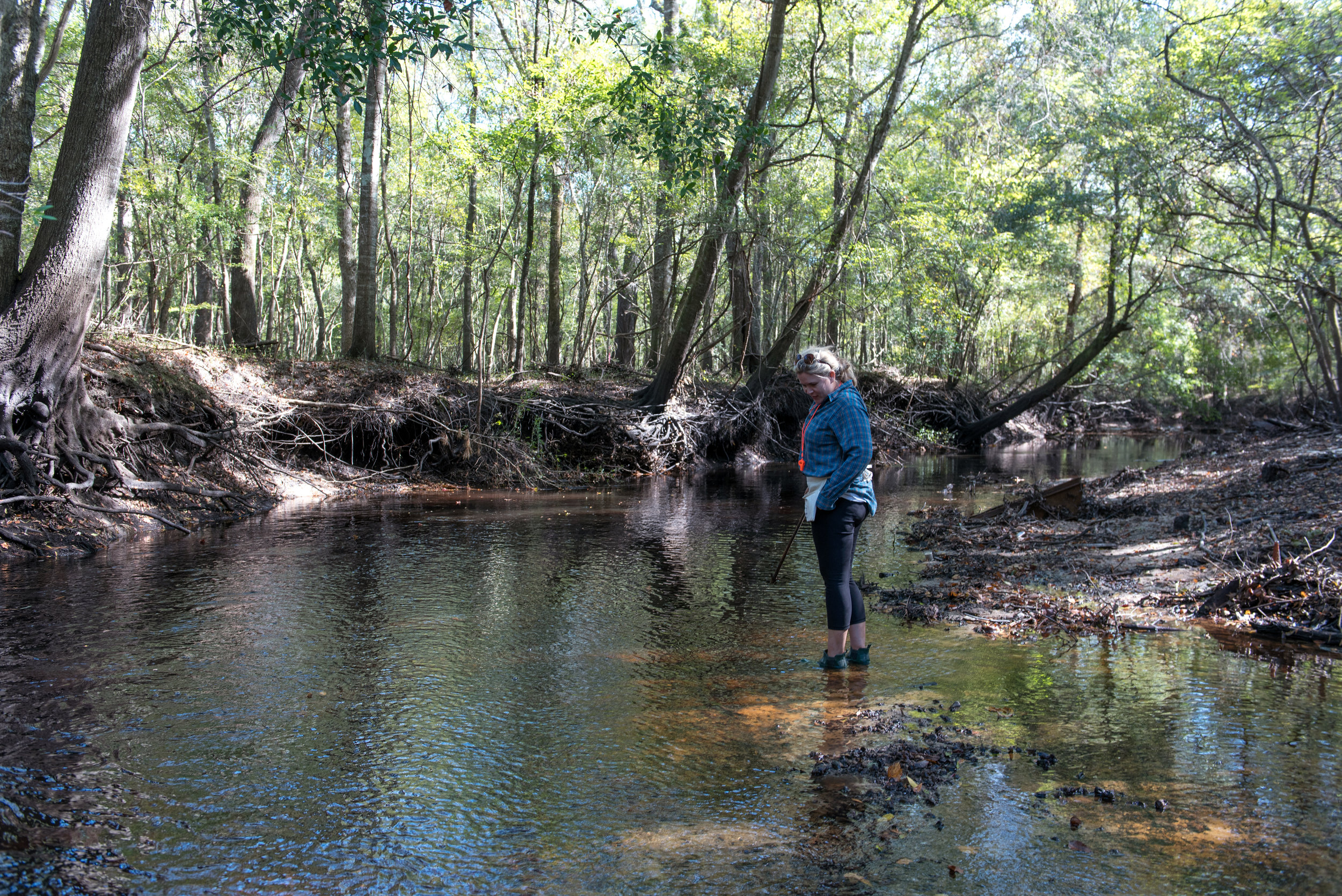 Straining to find fossil’s in the Ashely River.