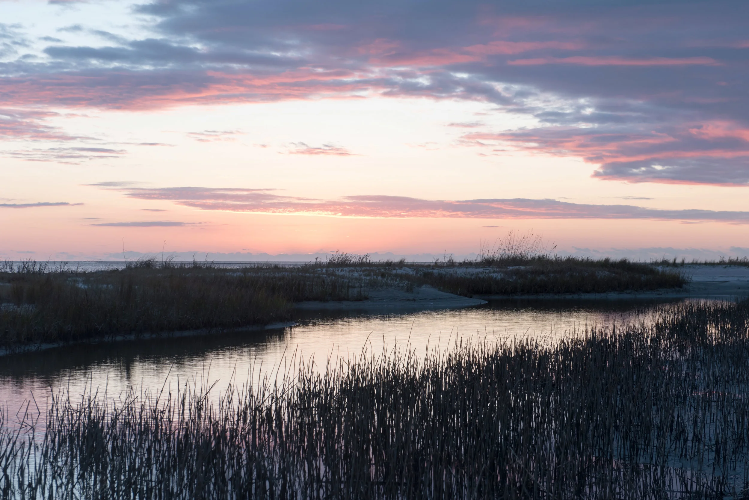 Early morning on Otter Island, SC.