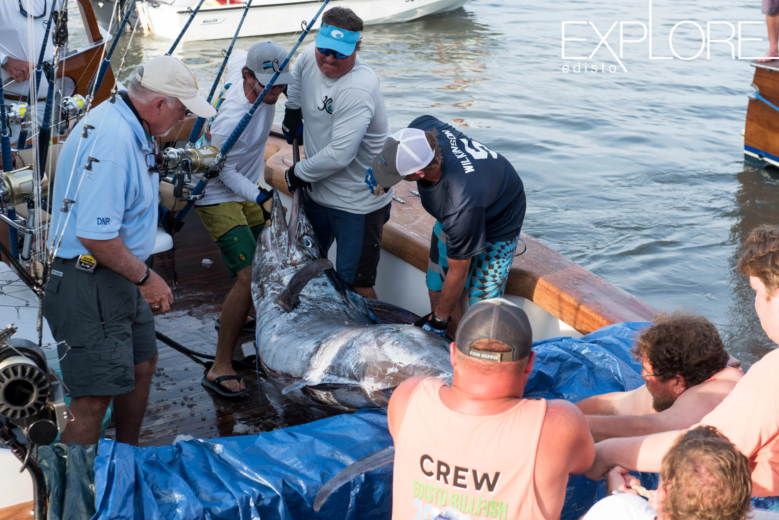 Men strain while lifting a marlin out of a boat.