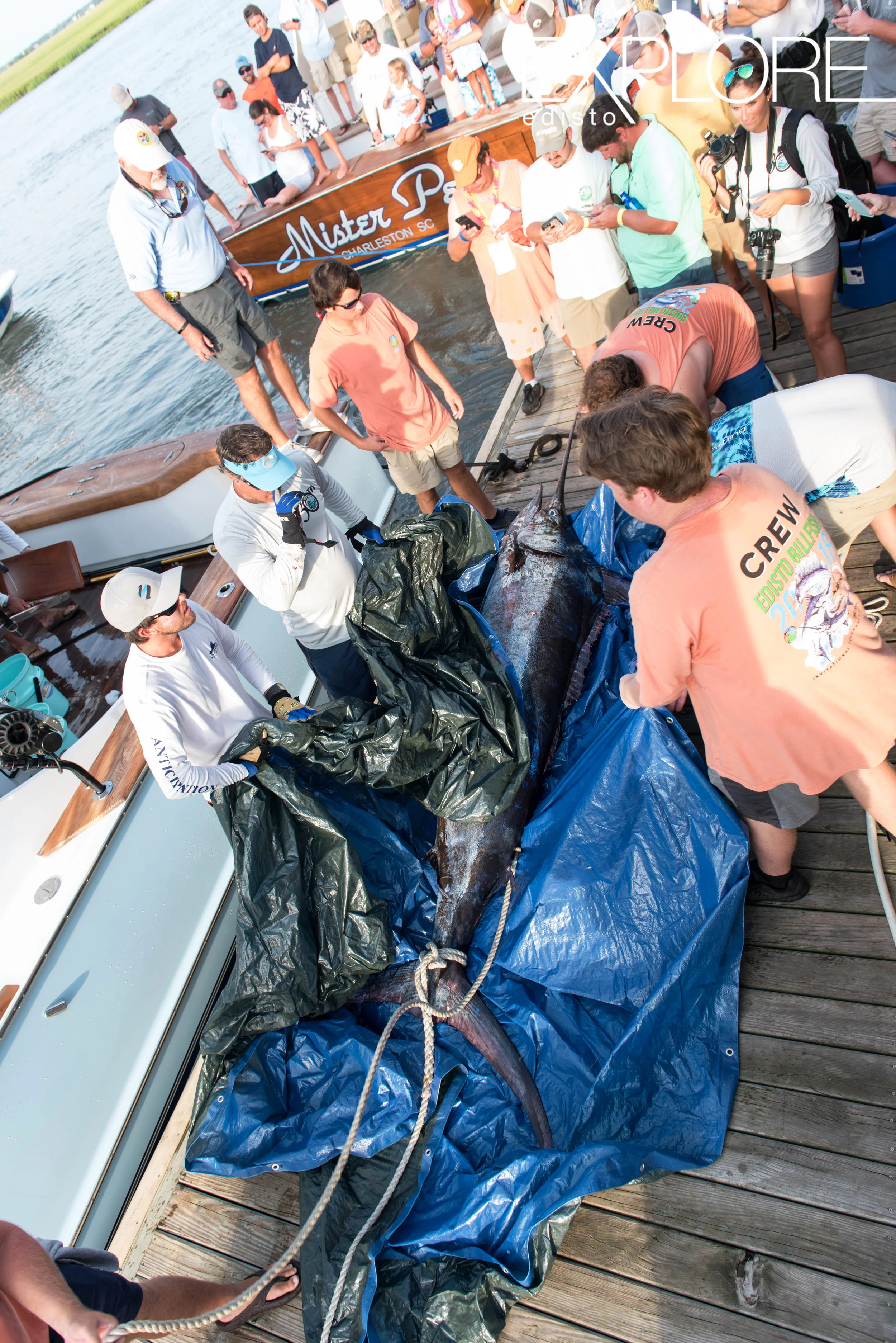 Large marlin on blue tart surrounded by spectators on dock.