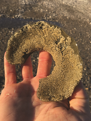 Sand Collar