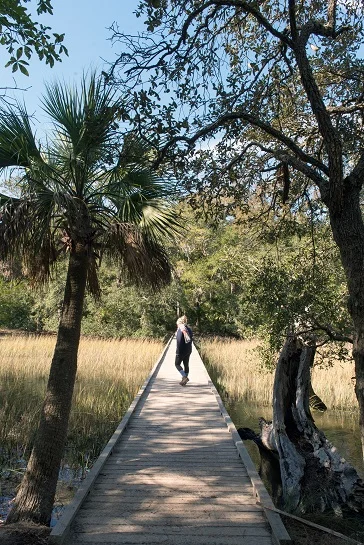 Edisto_Hiking_Trails-7618.jpg