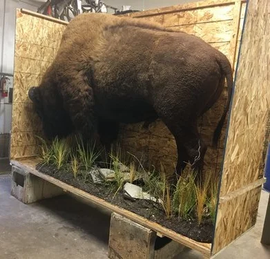 Trophies of all size shipped safely around the world