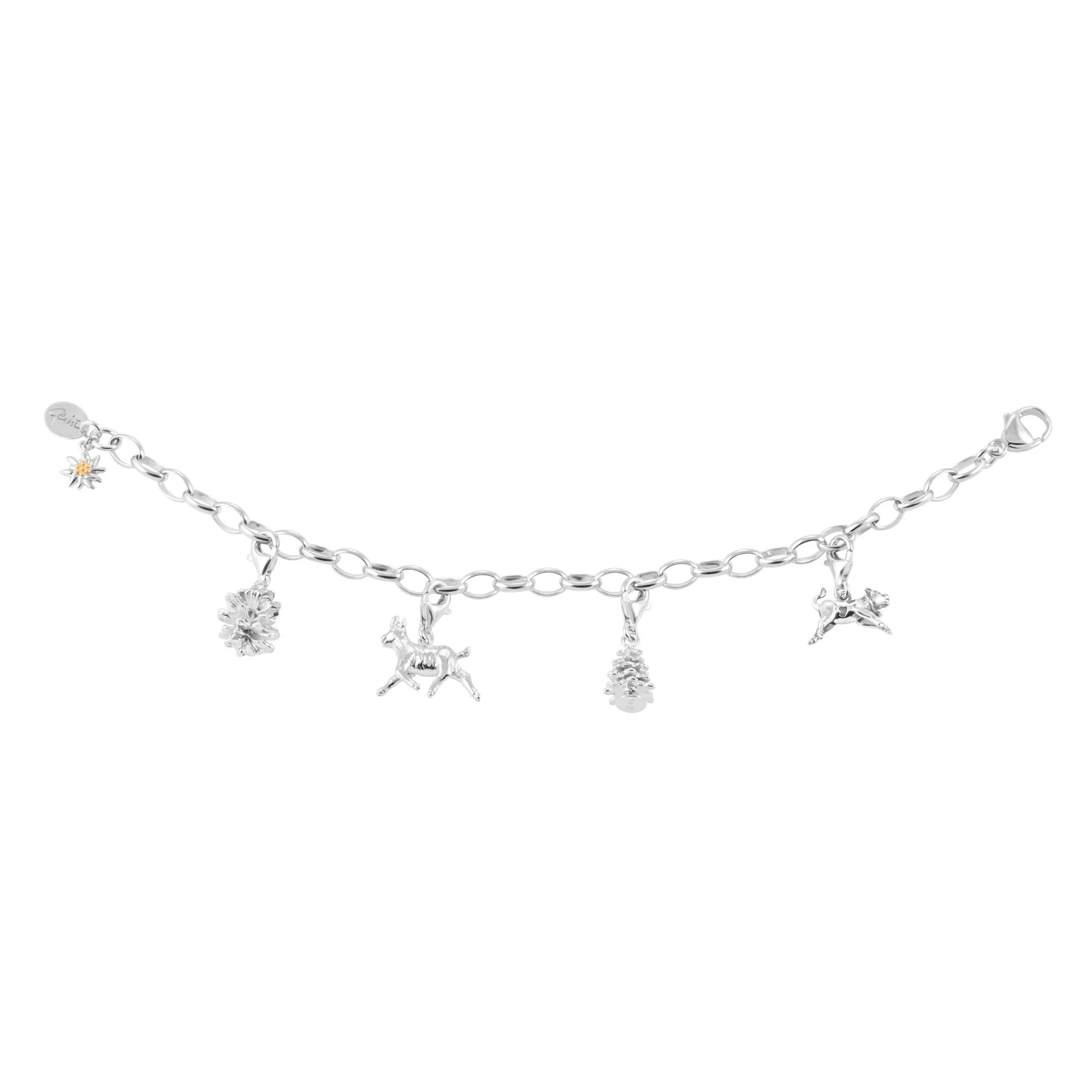 charm bracelet.jpeg