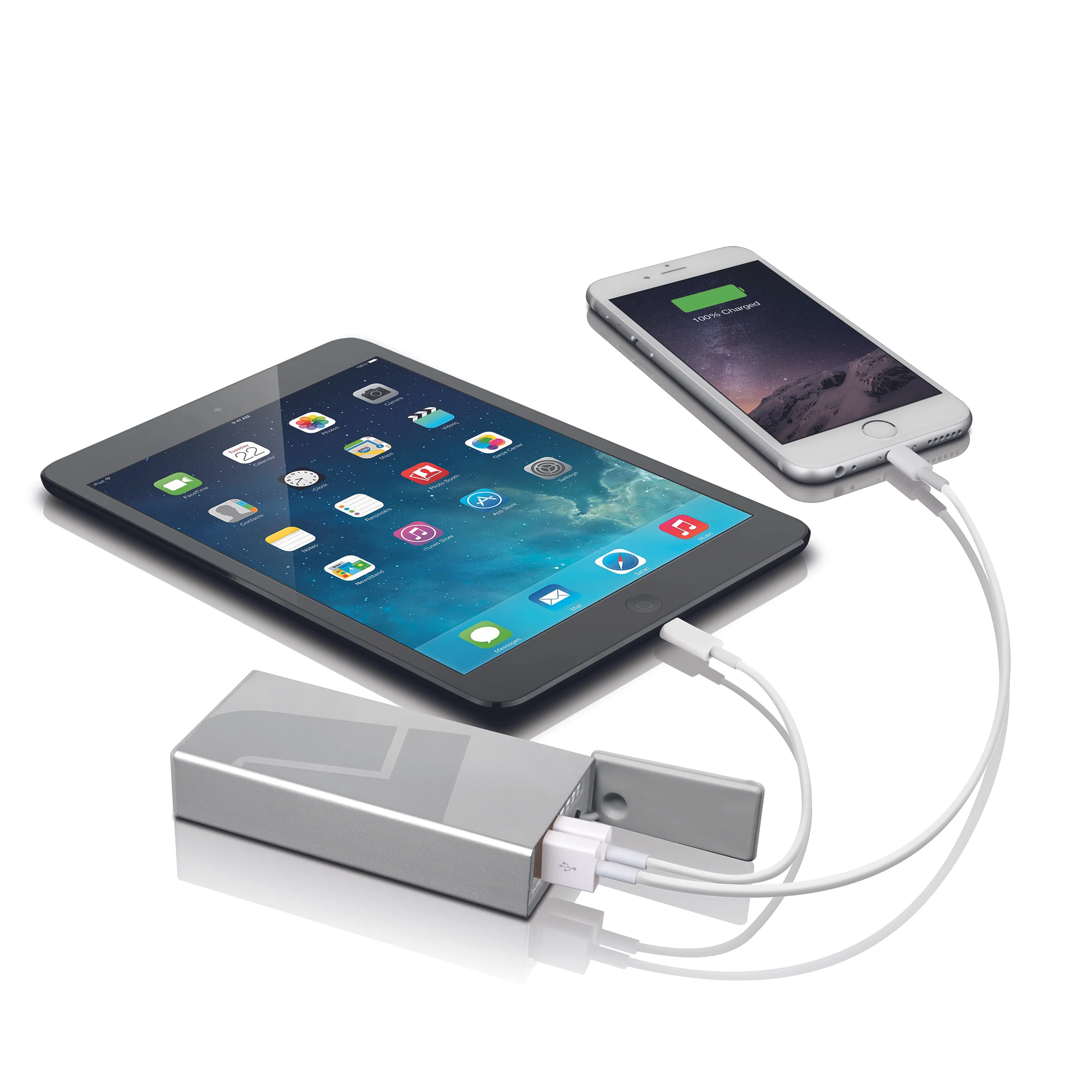 1053N-sil_ipadmini_ip6.jpg