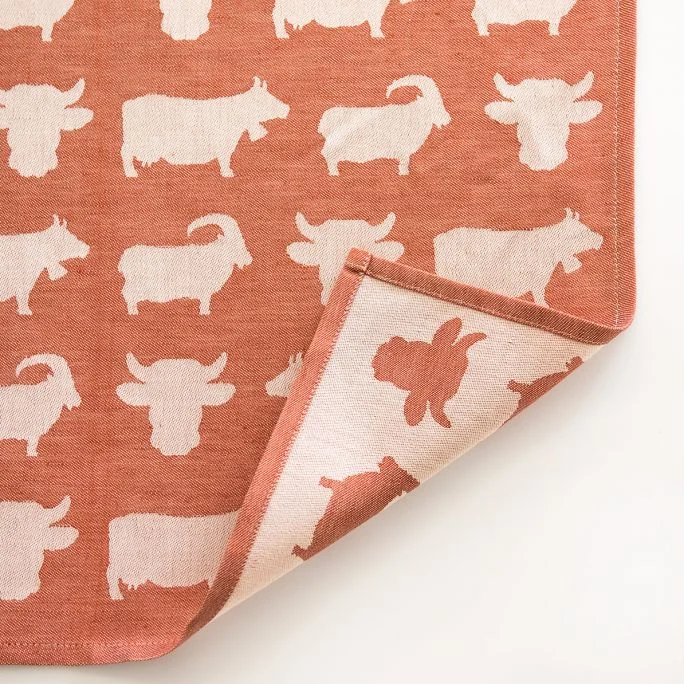 red dishtowel multi2.jpg