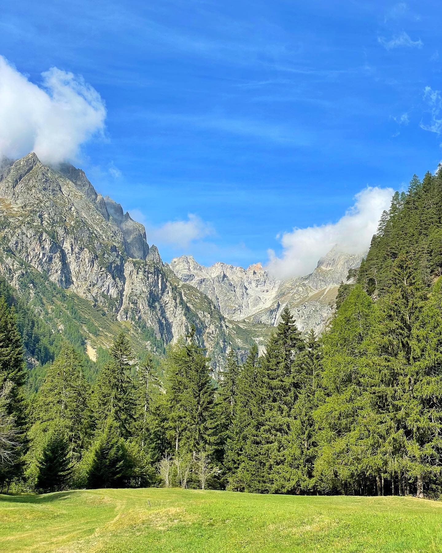 Today&rsquo;s hike: the Val Ferret. Passed lots of TMBers!
.
.
.
.

#tourdumontblanc #tmb #hikinglife #trekker #walkingtour #swisshiking #frenchalps #swissalps?? #originaldesign #originaltshirt #exclusivedesign #vachementsuisse #supportsmallshops #al