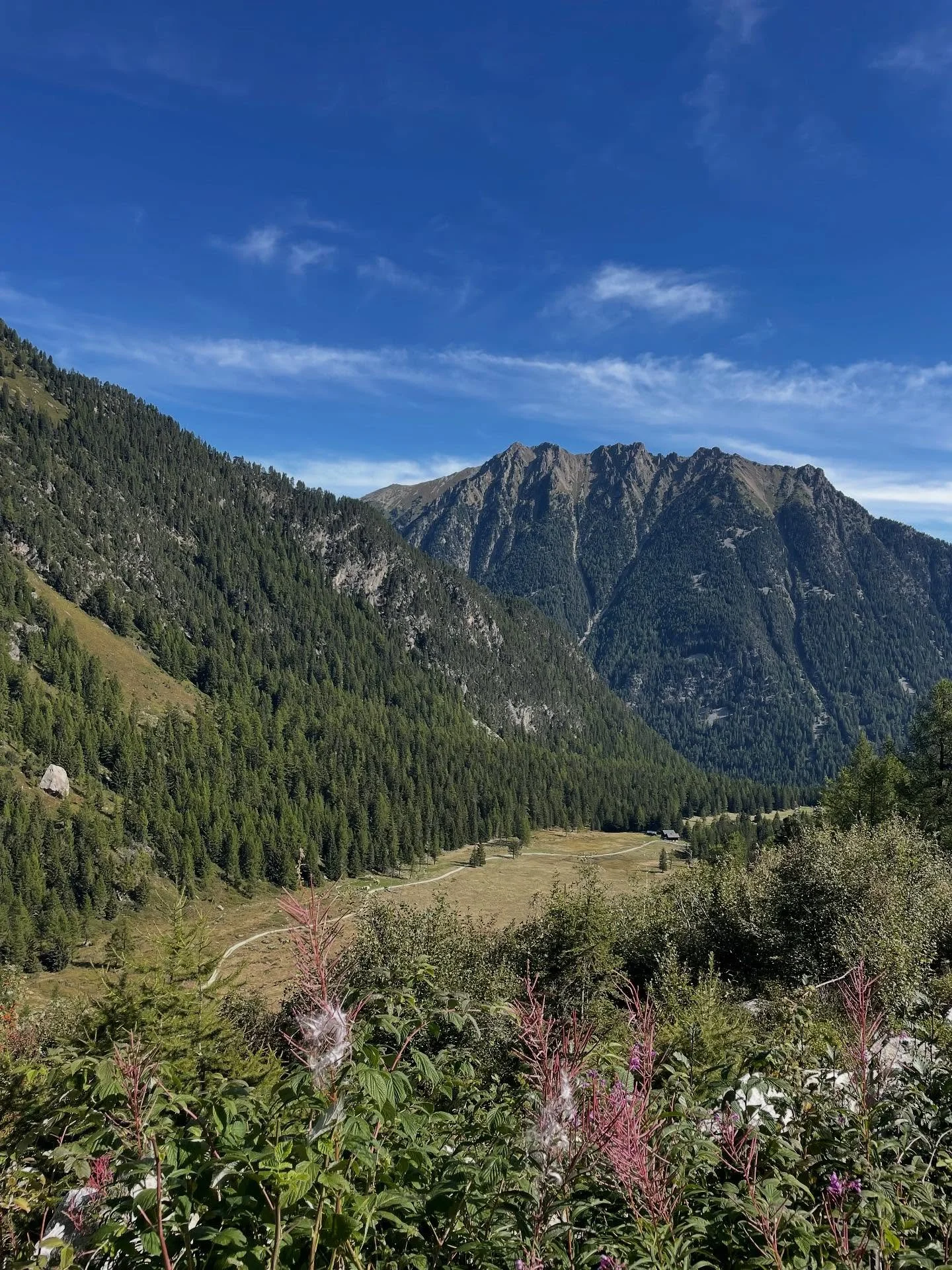 Sunday funday ☀️
.
.
.
.
.
#montagne #paysdustbernard #montblancexplorer #tourdumontblanc #tmb #valaisgravedansmoncoeur #switzerlandwonderland #alpinelakes #lasuisse #alpinevillage #mountaintown #lakesandmountains #alpineliving #mountainlifestyle #mo