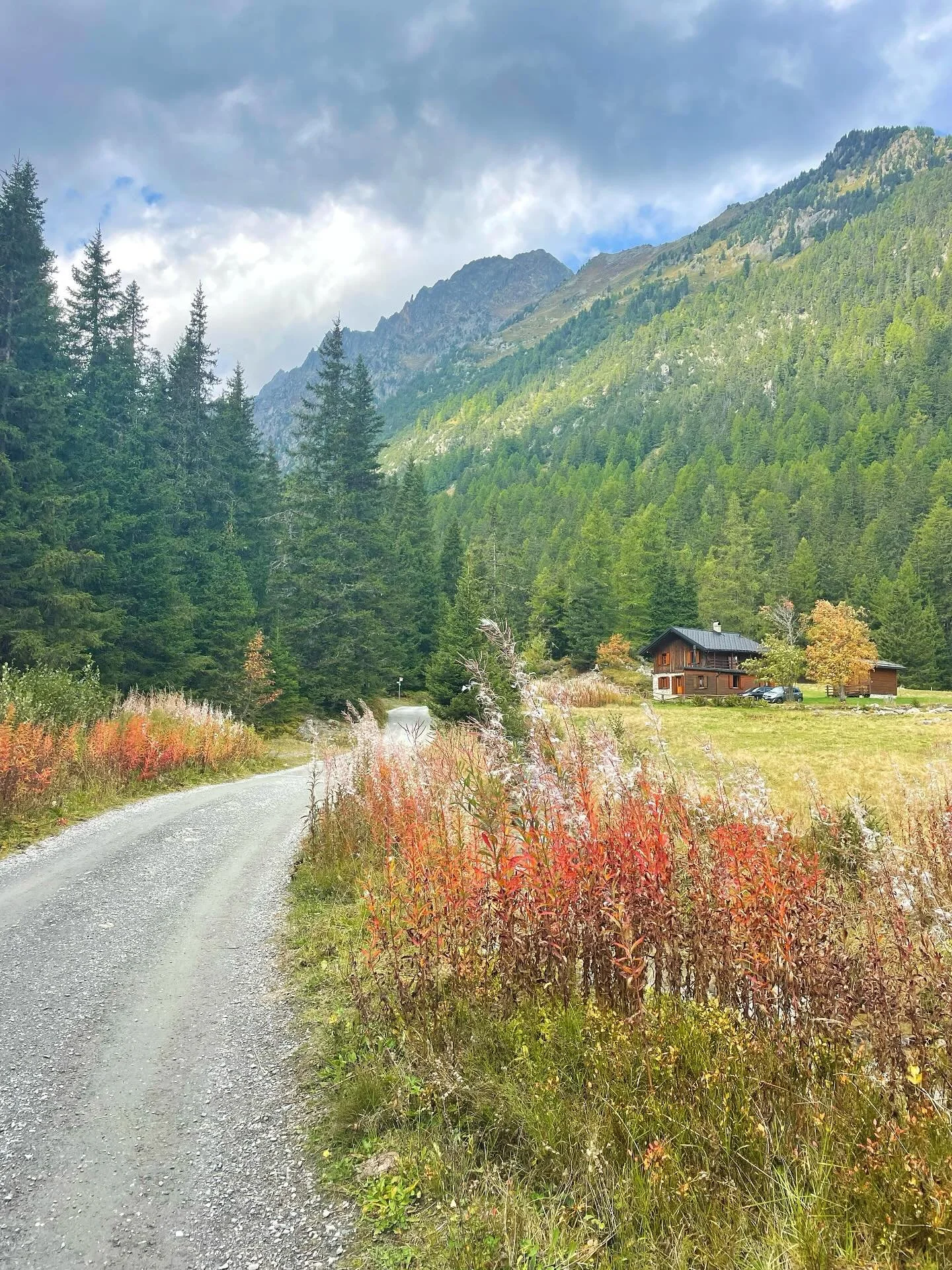 Fall is in the air 🍁
.
.
.
.
#fallhiking #feelslikeautumn #feelslikefall #autumndays #valais #valaiswallis #mypsb #myswitzerland #inlovewithswitzerland #smalltownlife #mountainmama #feelthealps #mountainlover #visitswitzerland #alpinelife #mountaing