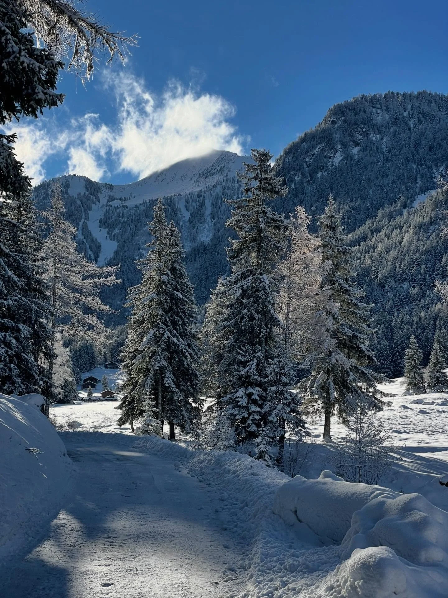 ❄️
.
.
.
#champex #winterwonderland #mountainlife