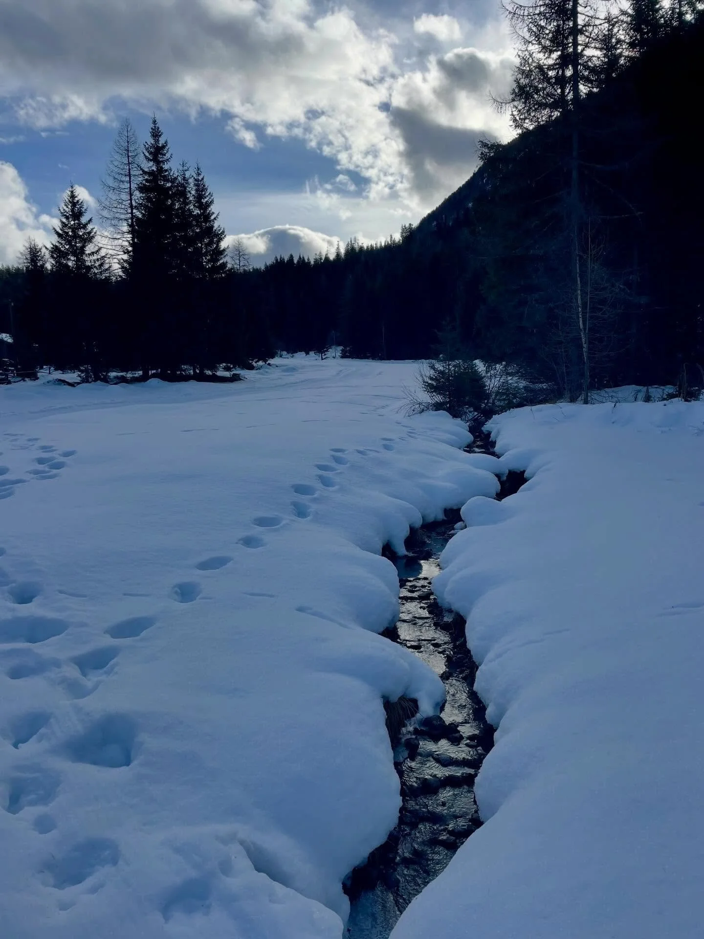 Winter solstice 
.
.
.
.
#wintersolstice 
#champex