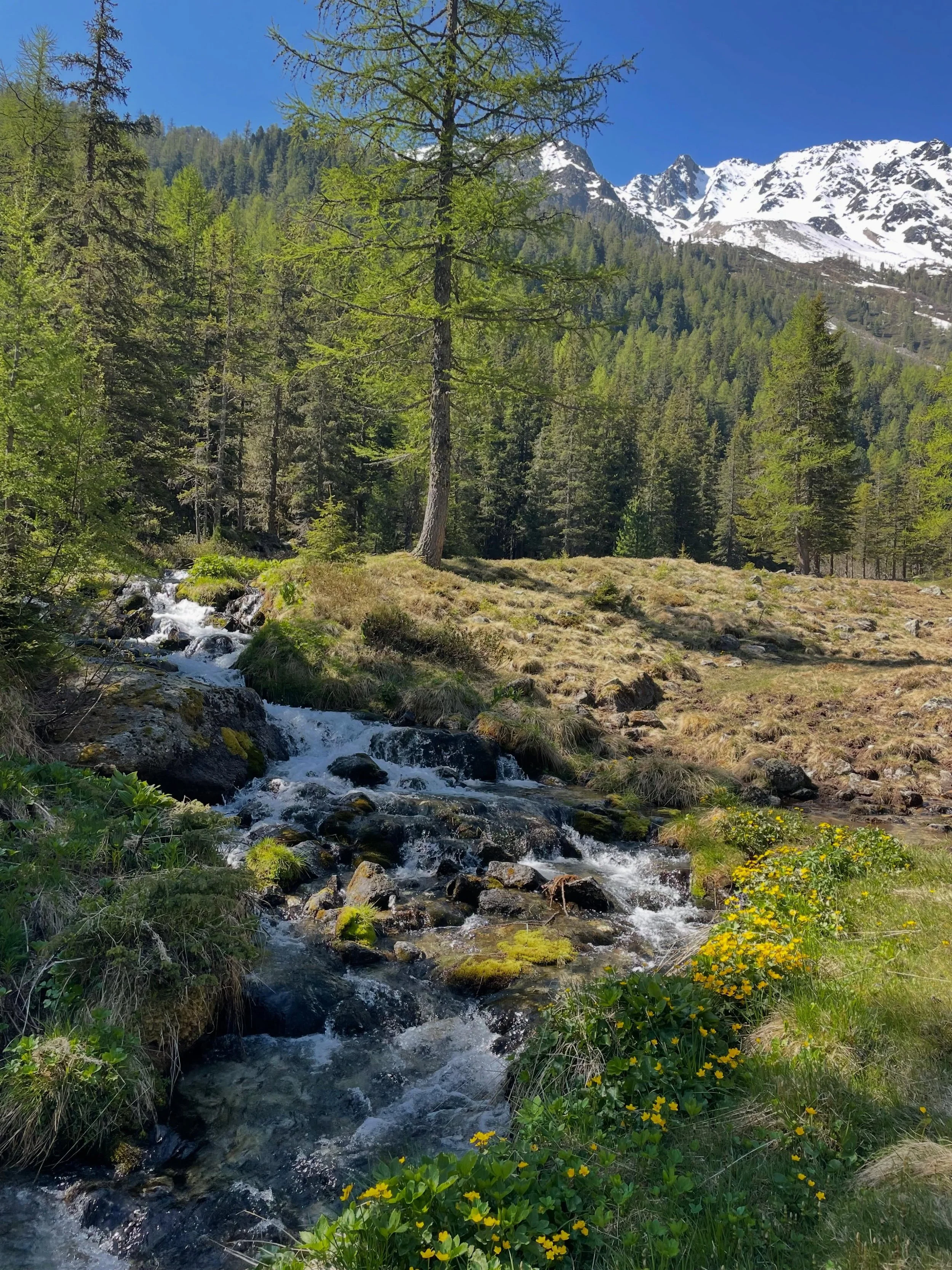☀️😍
.
.
.
#champex #valdarpette #tourdumontblanc