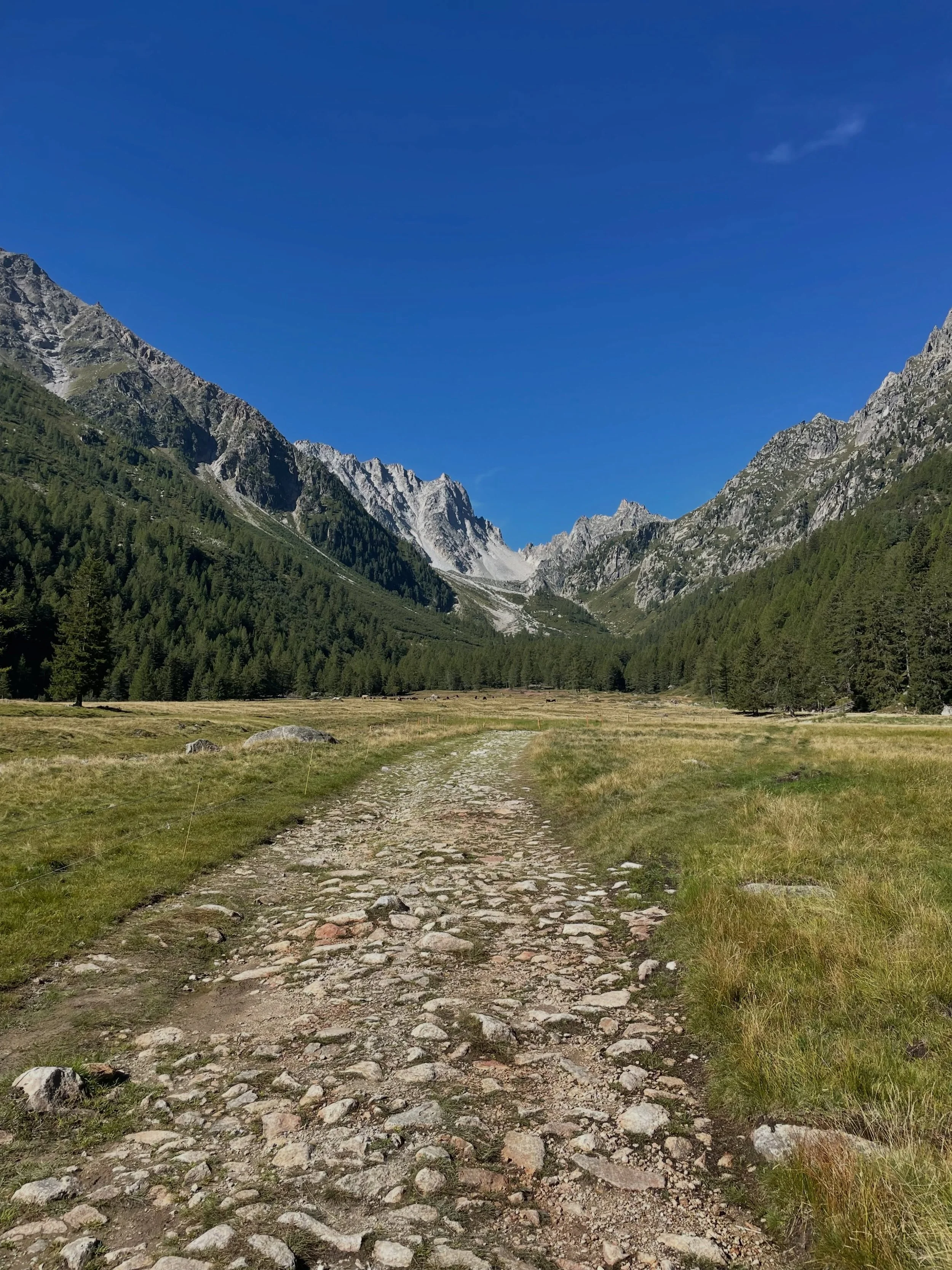 Enjoying the ☀️ in the Val d&rsquo;Arpette