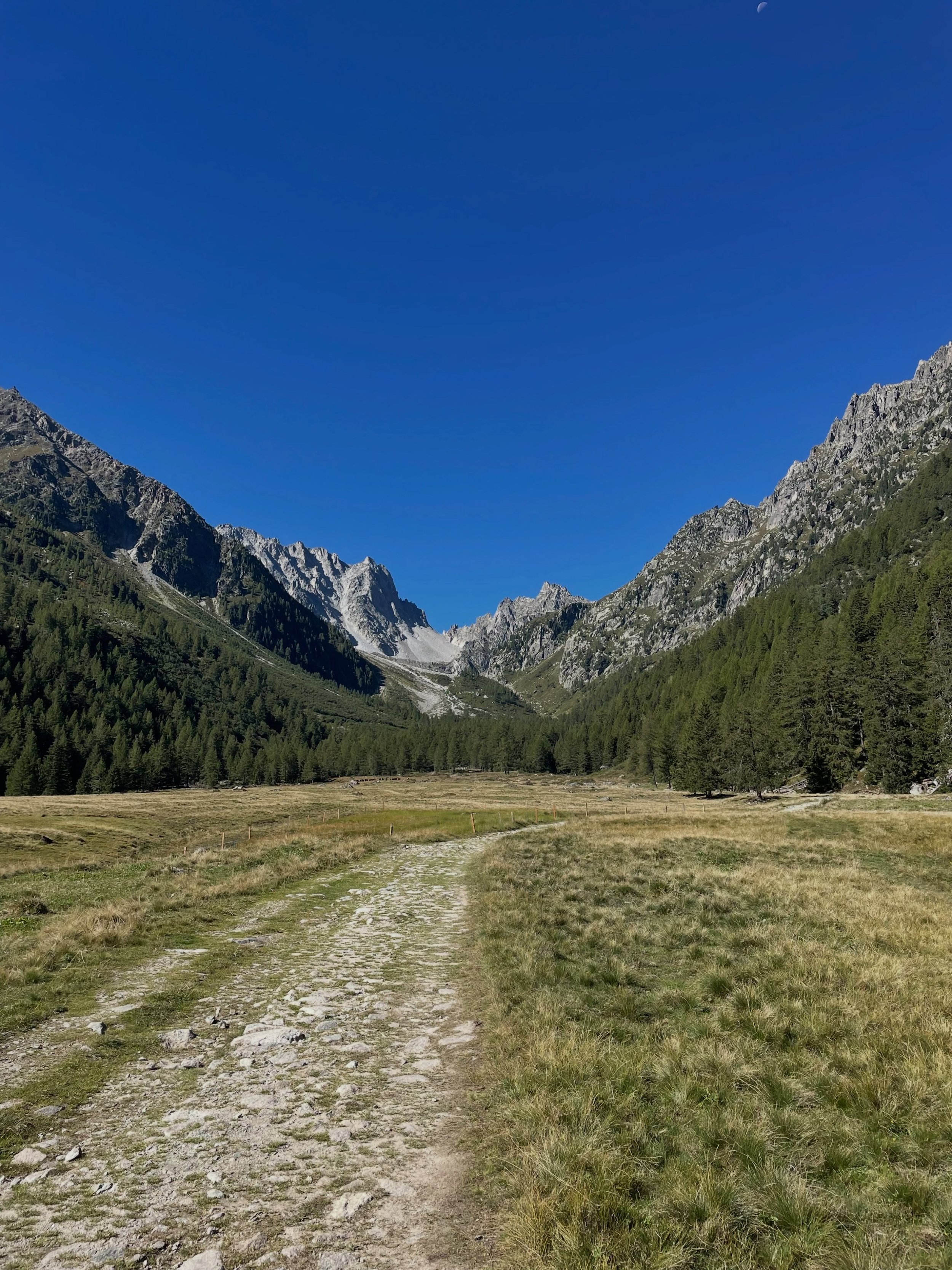 Look at that color blue! 💙#
.
#champex
