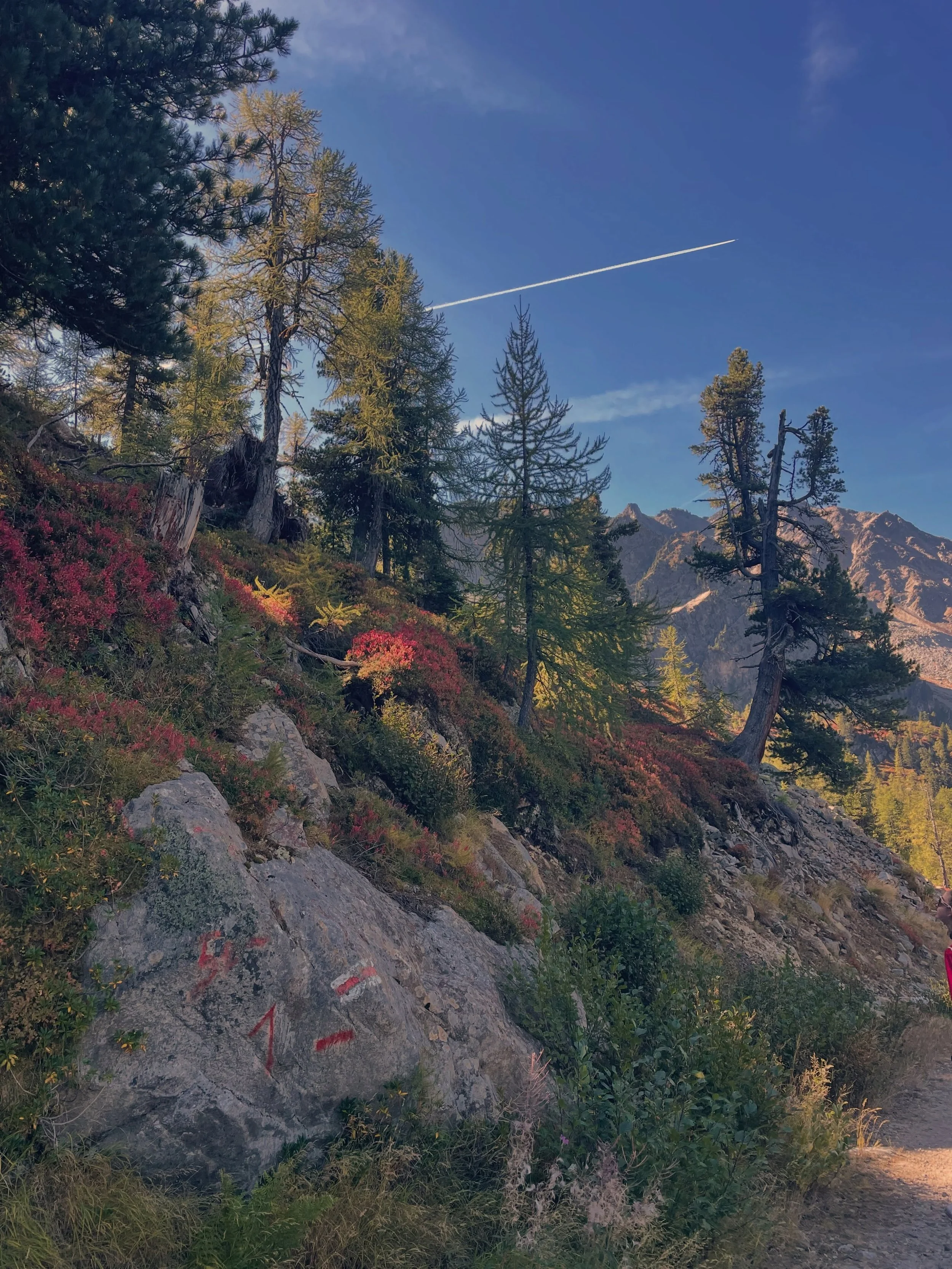 🍁The colors are changing! 🍁
.
.
.
.
#champex