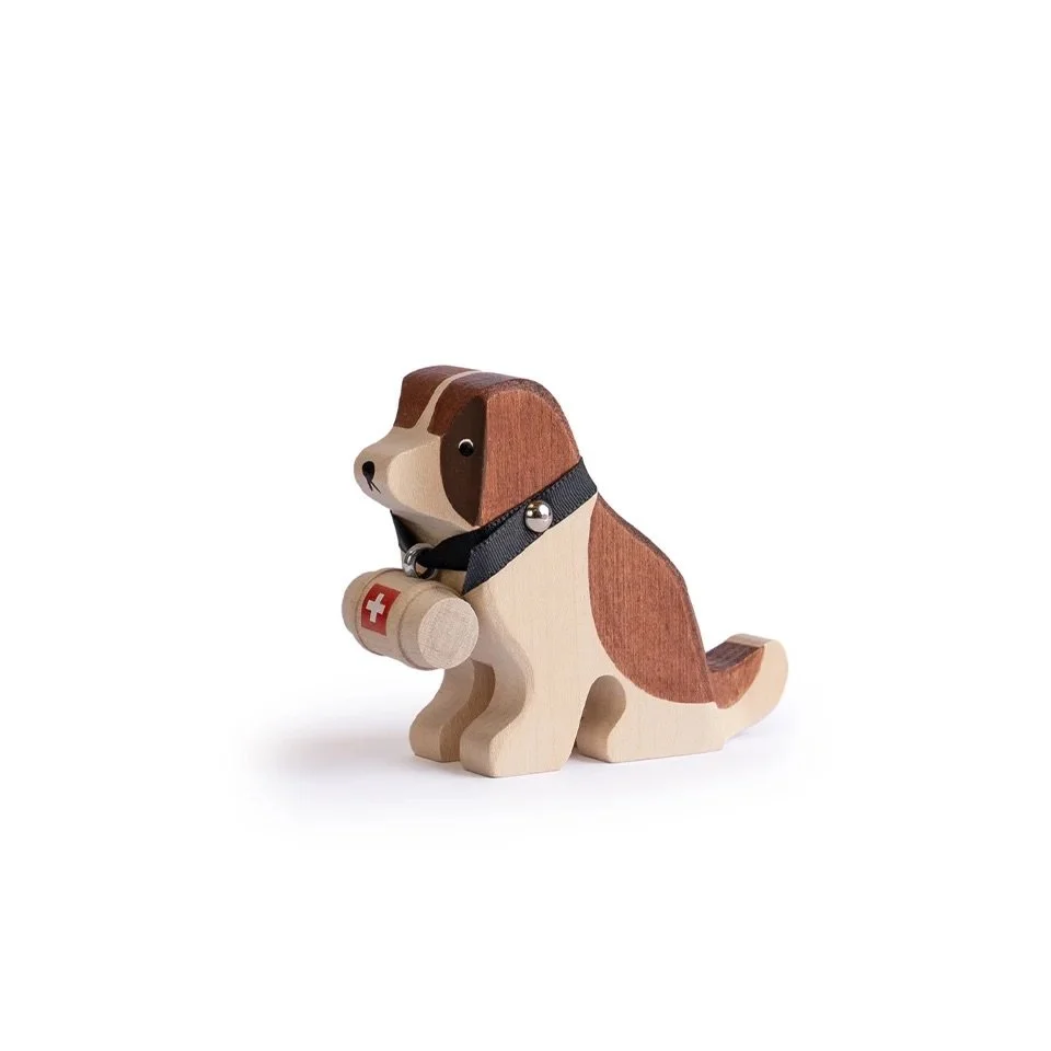 Saint Bernard - "Barry"