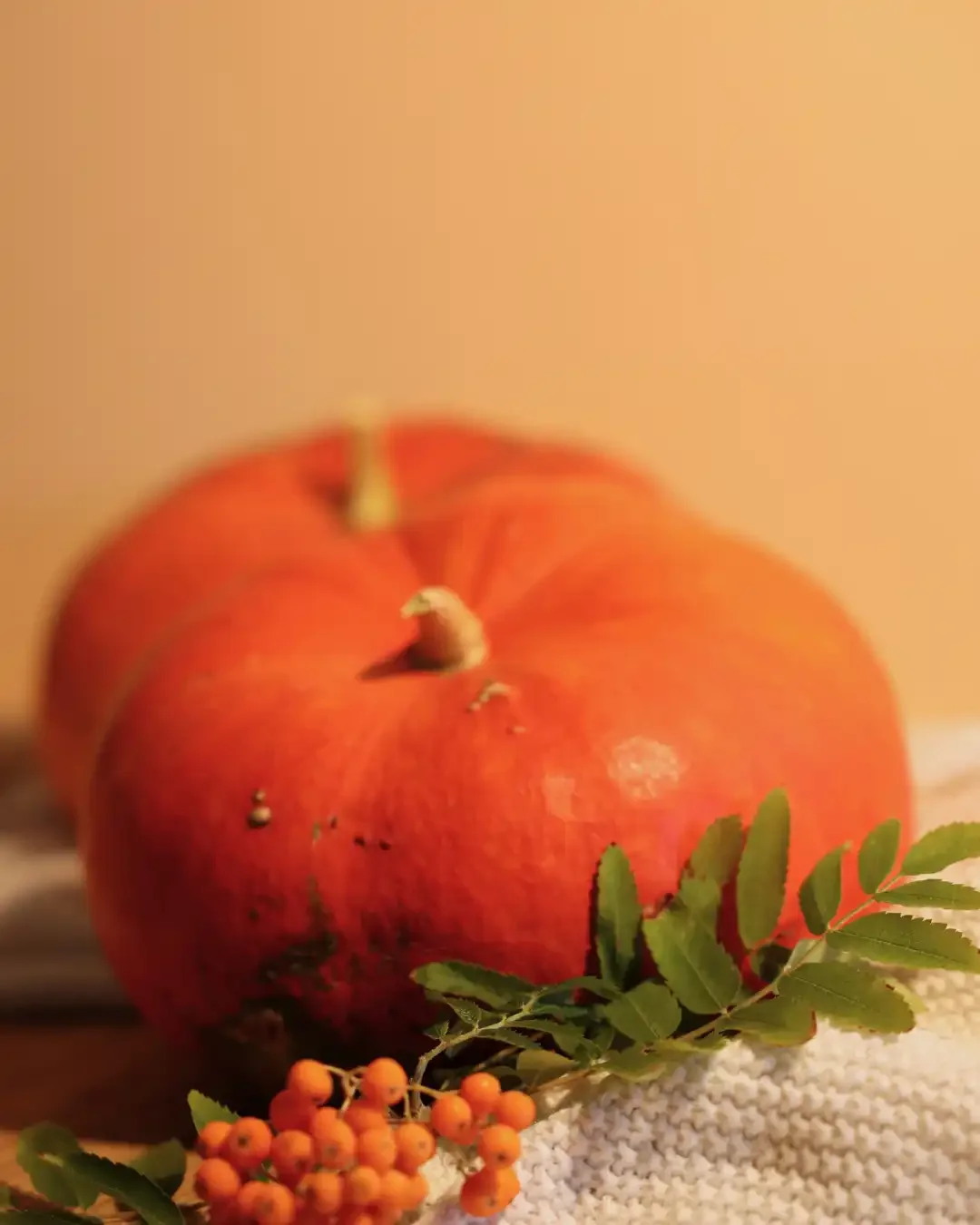 pumpkin.webp