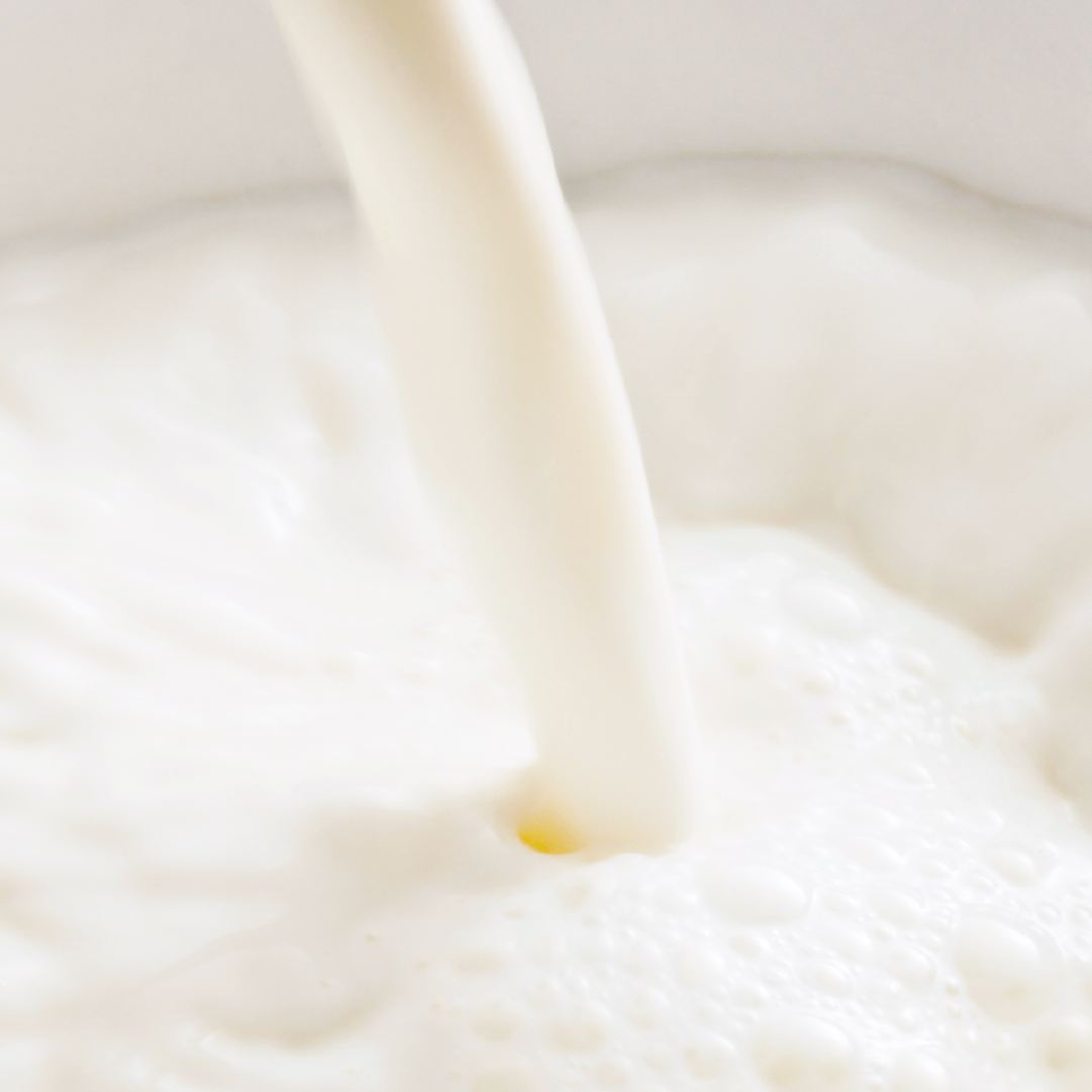 savon-au-lait-de-chevre-original (2).jpg