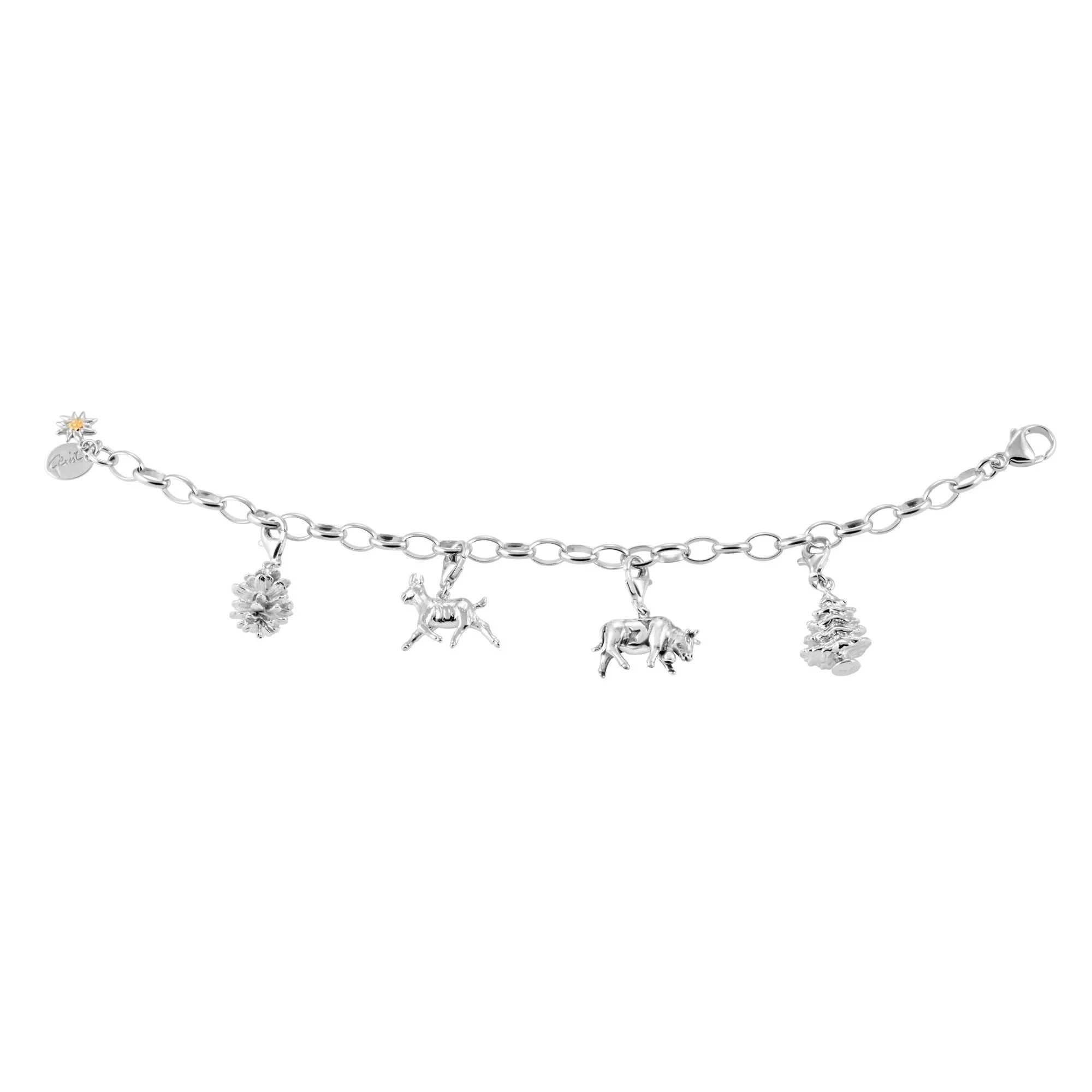 charm bracelet2.jpeg