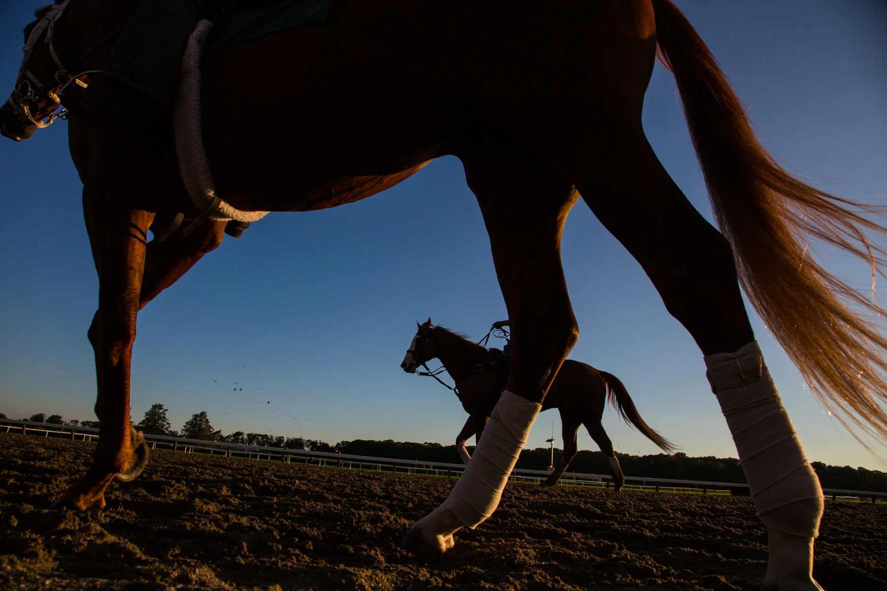 20140606_Belmont_0140.jpg