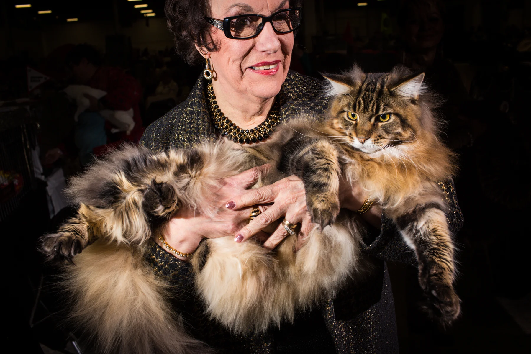 20141122_CatShow_0793.jpg