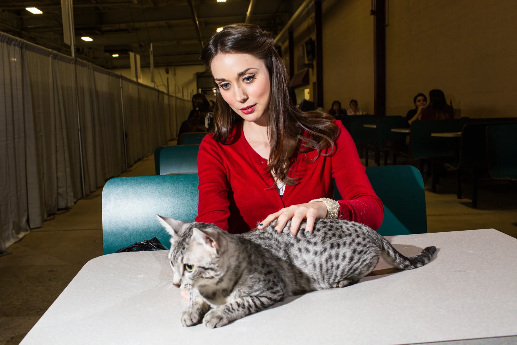 20141123_CatShow_0791.jpg