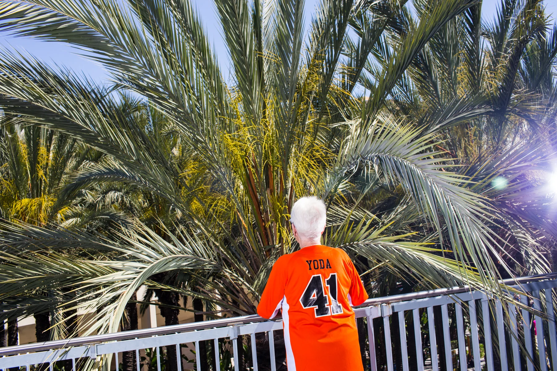 20150418_StarWars_0384.jpg