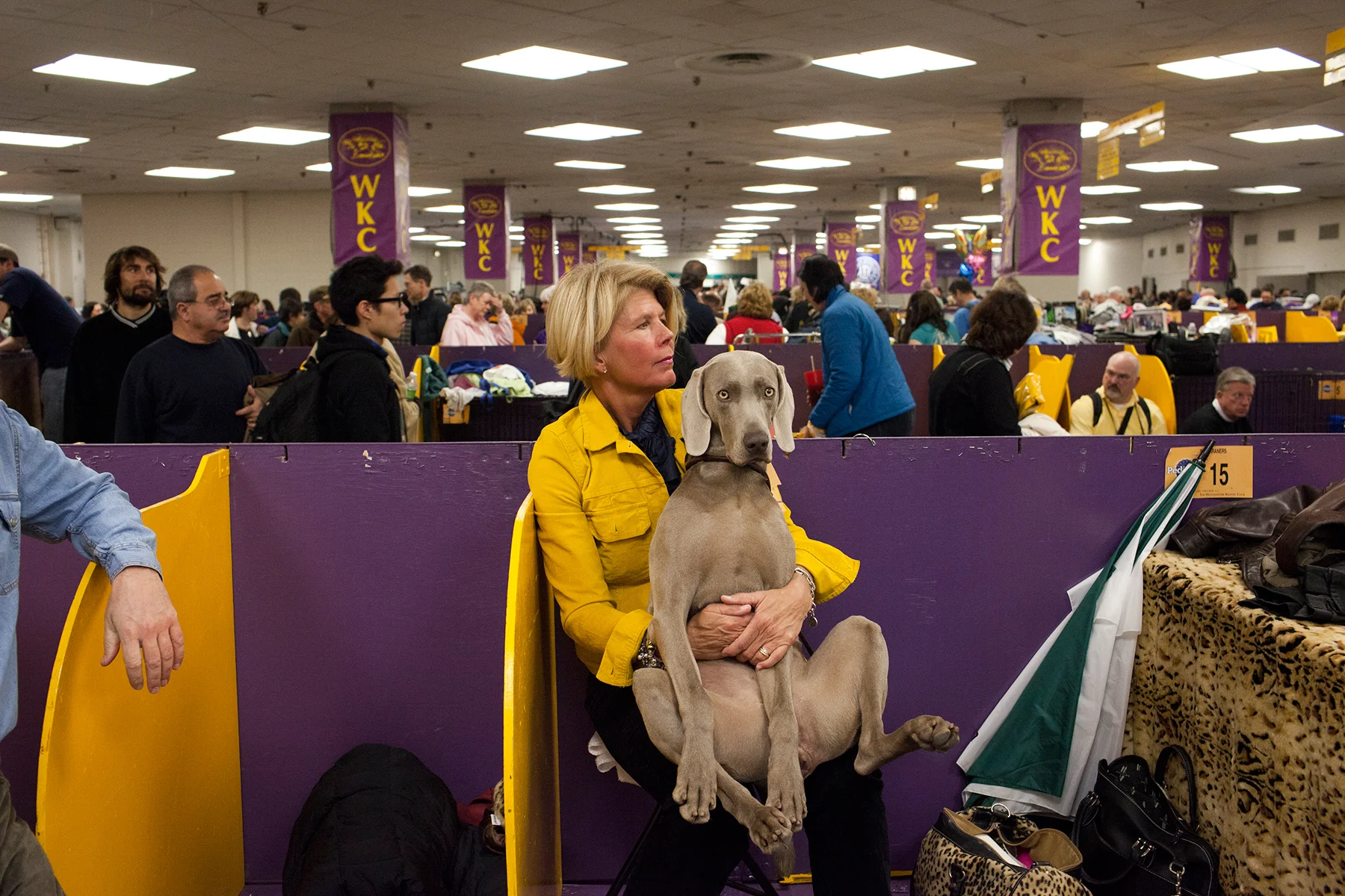 20100216_Dog_Show_0338.jpg