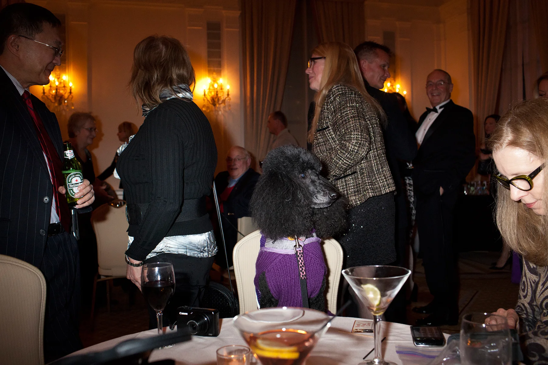 20110212_Dog_Show_0098.jpg