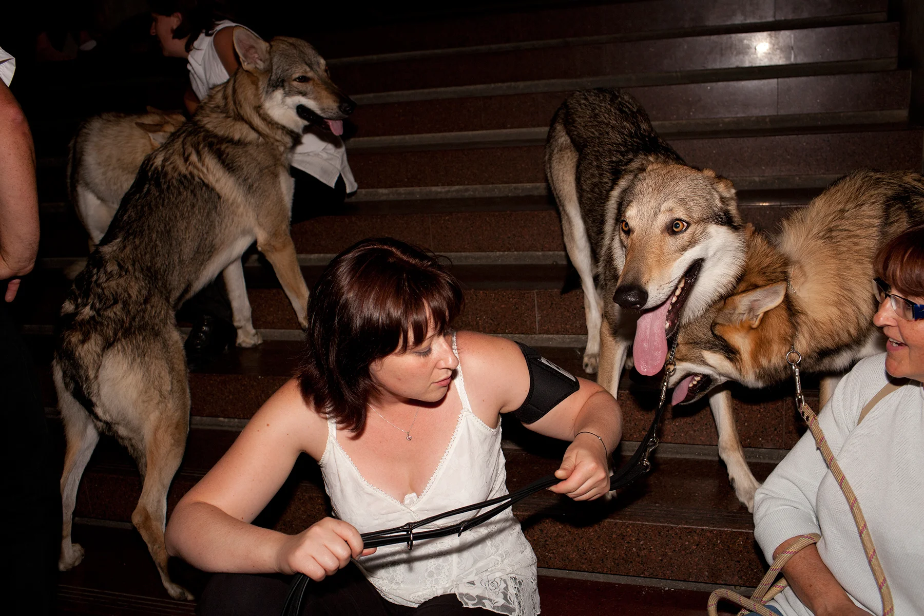 20110709_World_Dog_Show_0135.jpg