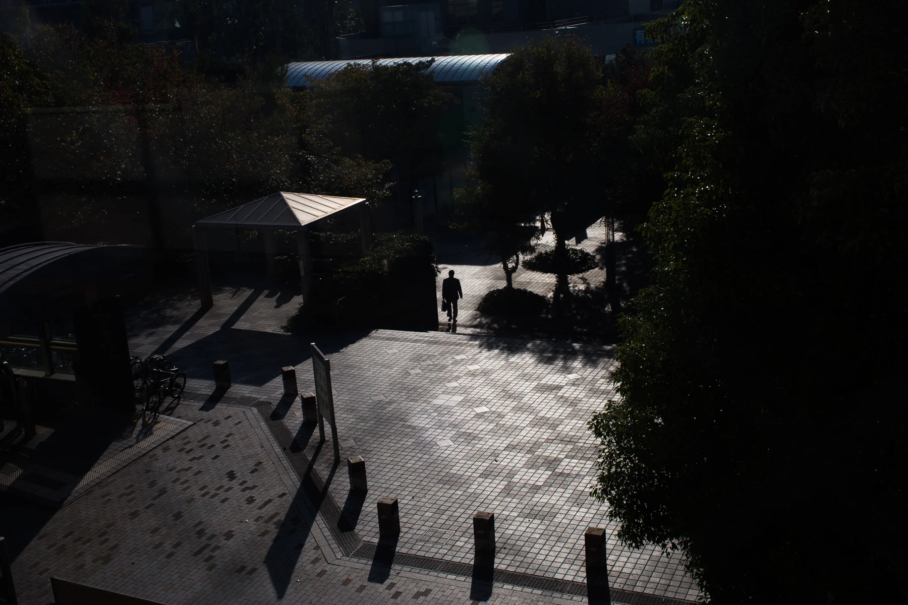 20151027_Tokyo_0319.jpg