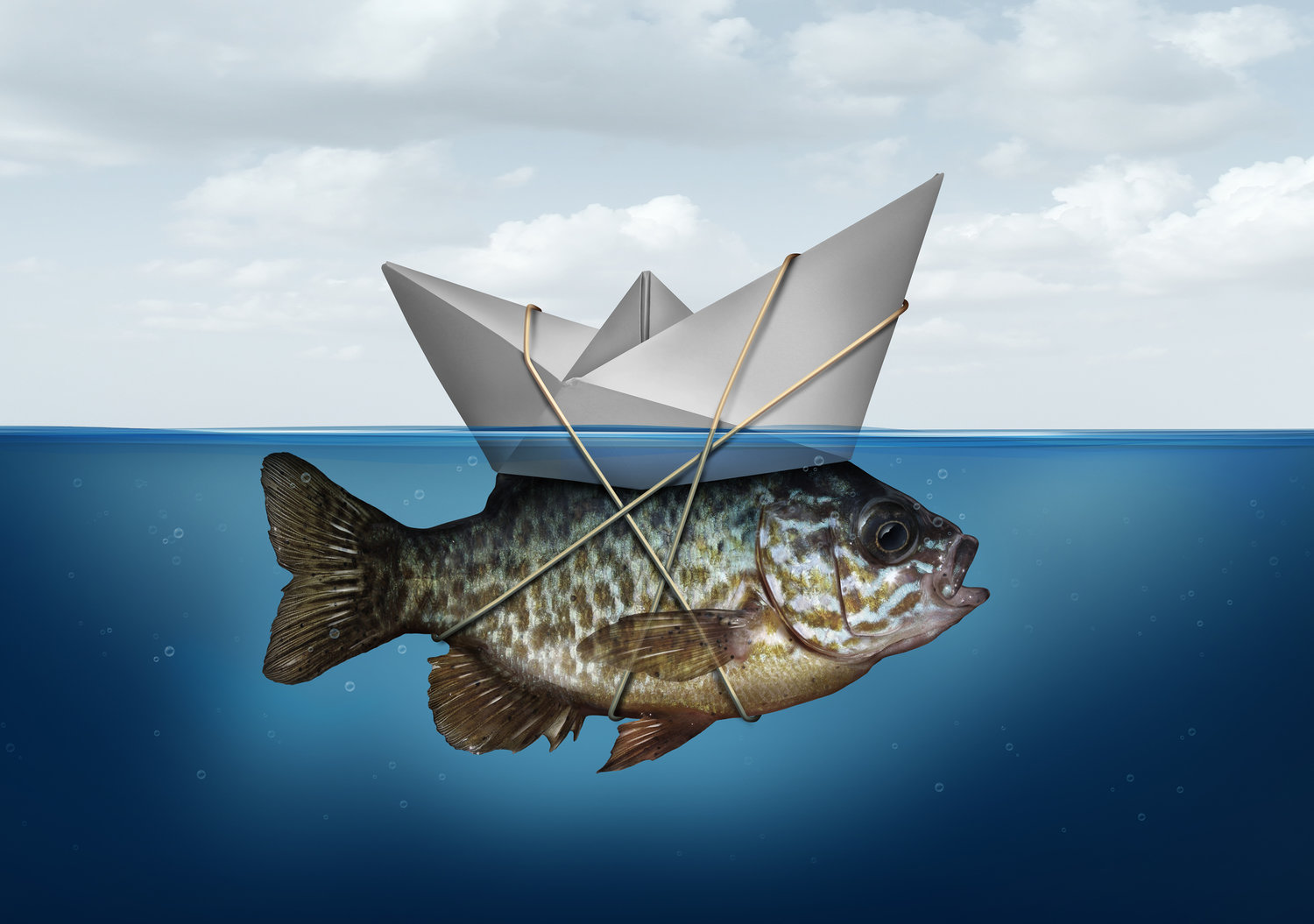 fishpost.jpeg