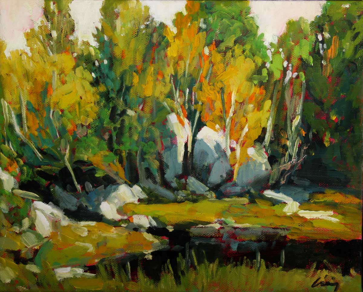 Stoney-Brook.jpg