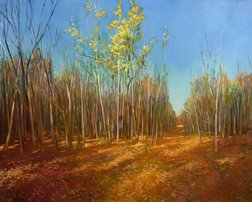 philip_craig_birch-stand_48_60.jpg