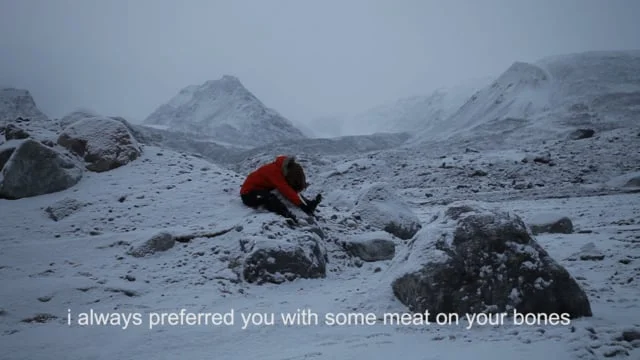 How to Love a Landscape (excerpt)